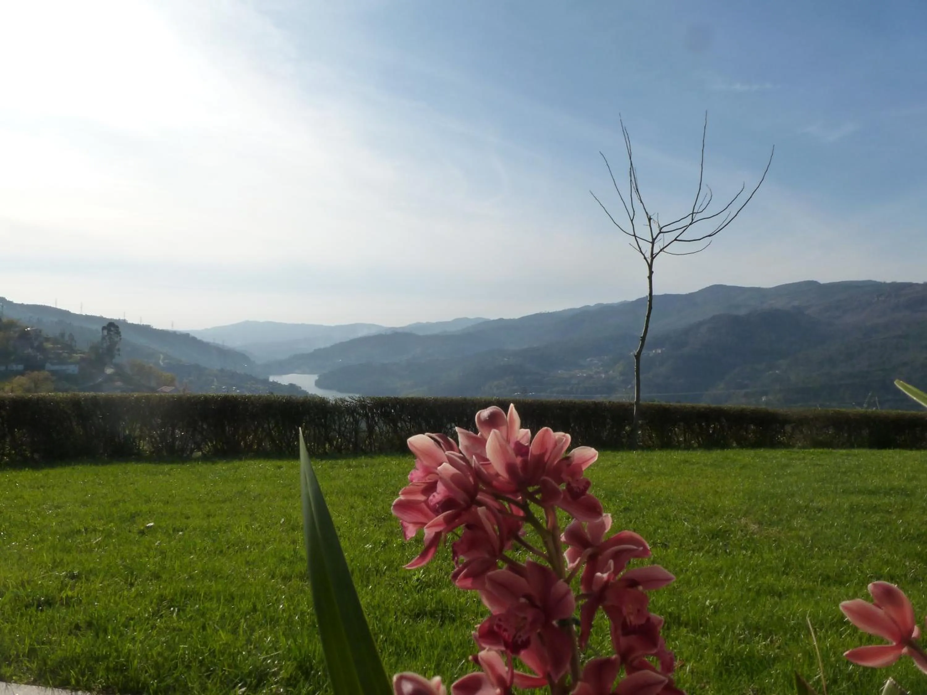 Garden view in Quinta do Bento
