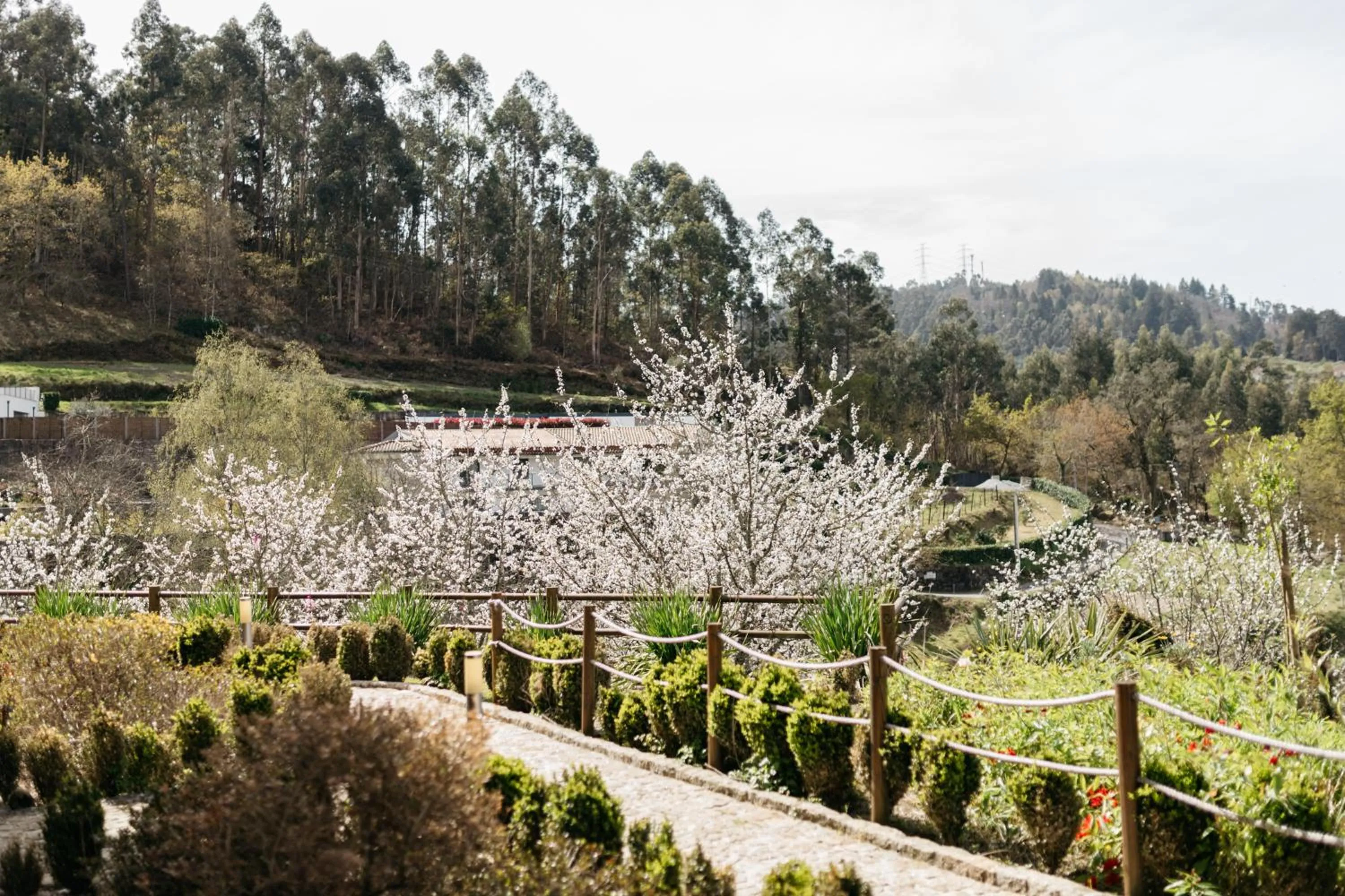 Garden view in Quinta do Bento
