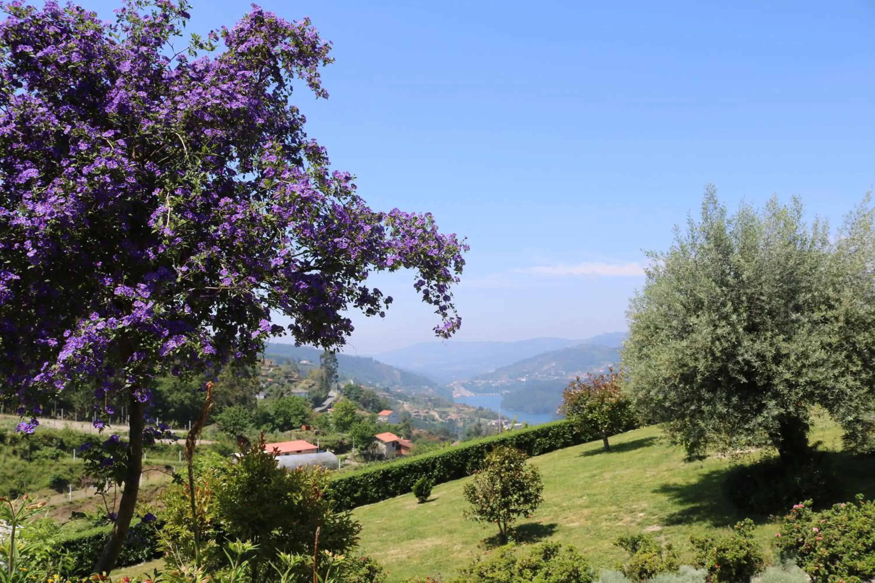 Double Room with Balcony and Mountain View in Quinta do Bento Double Room with Balcony and Mountain View in Quinta do Bento
