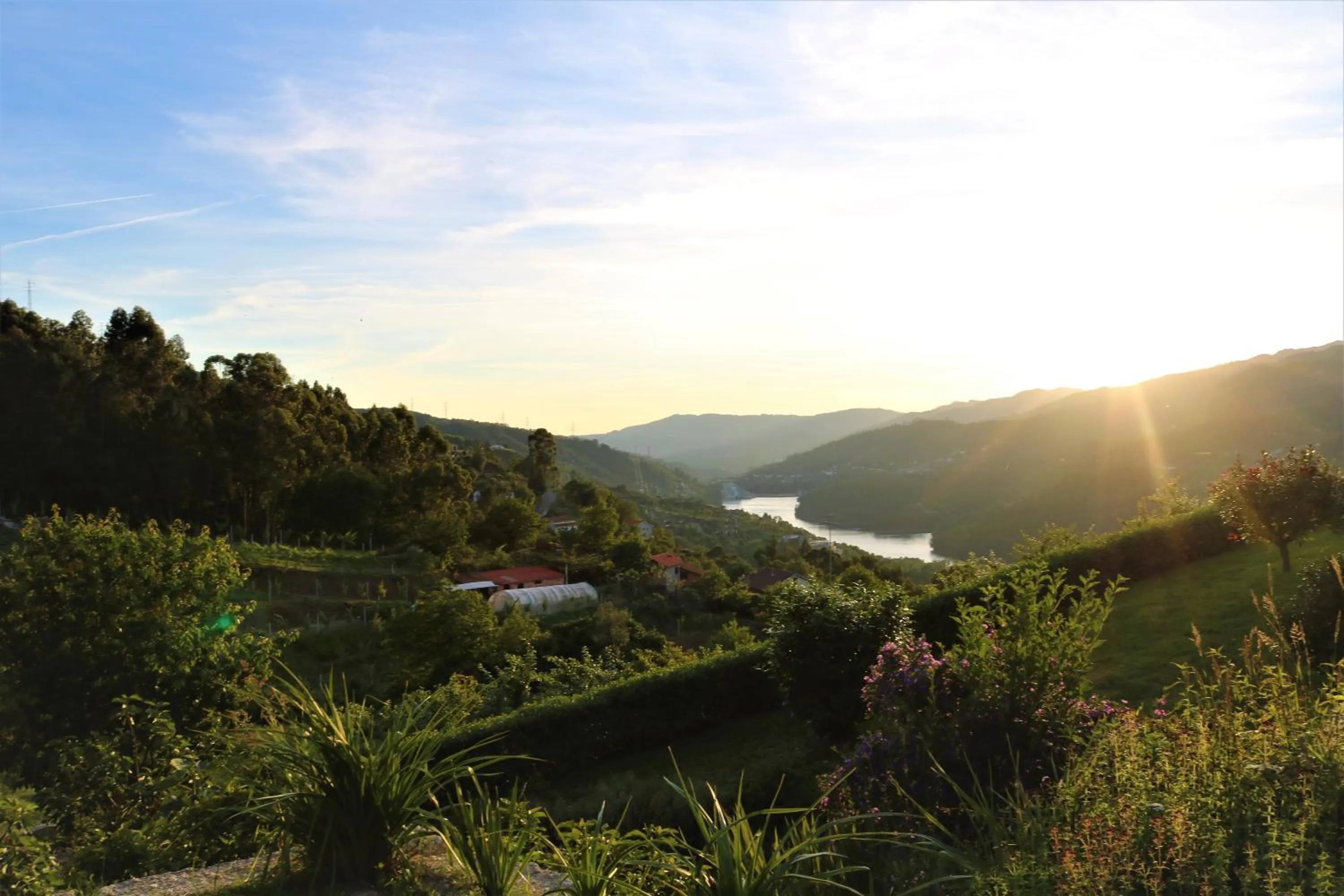 Bird's eye view in Quinta do Bento