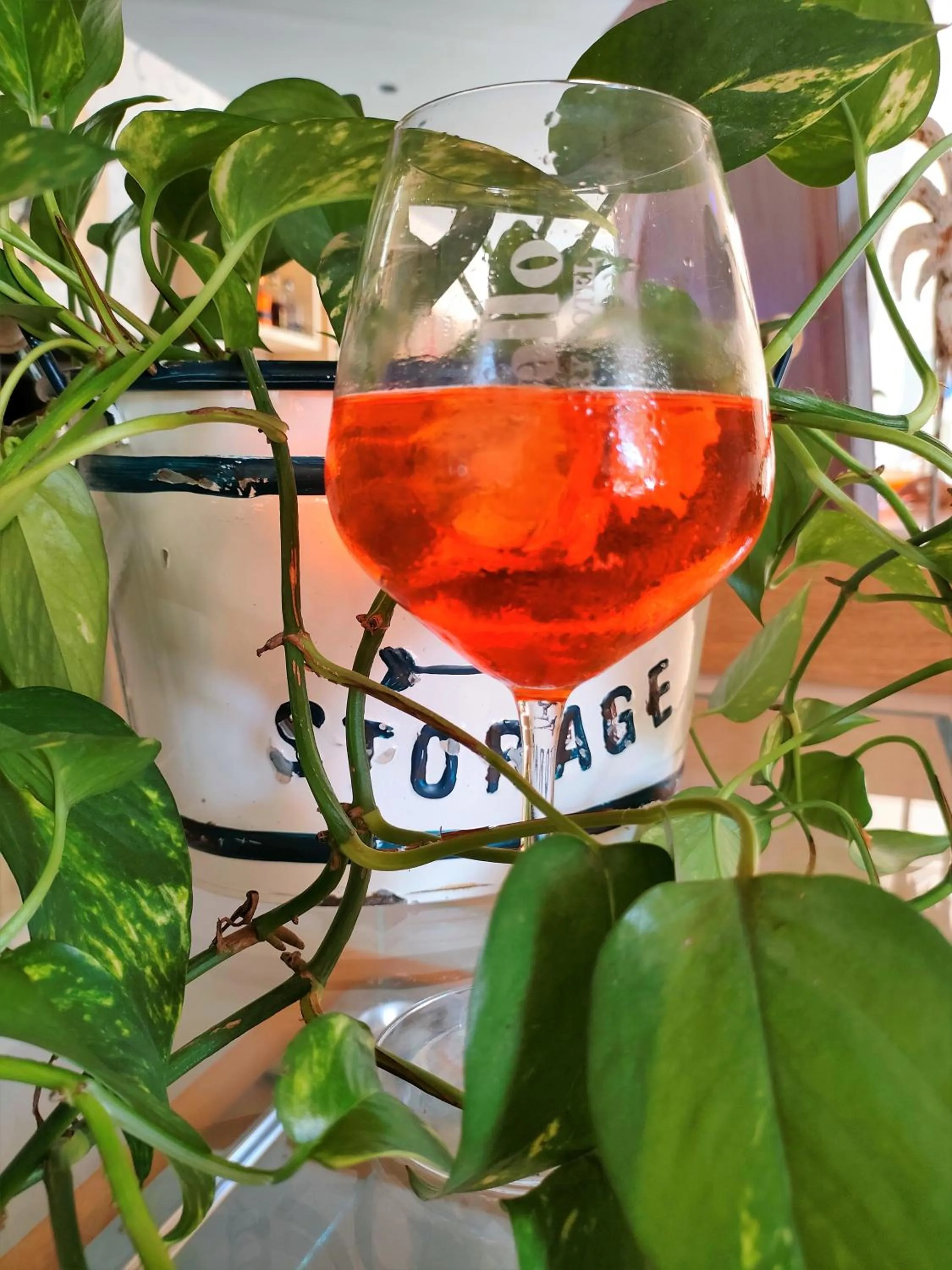 Alcoholic drinks in Country Hotel Al Gallo