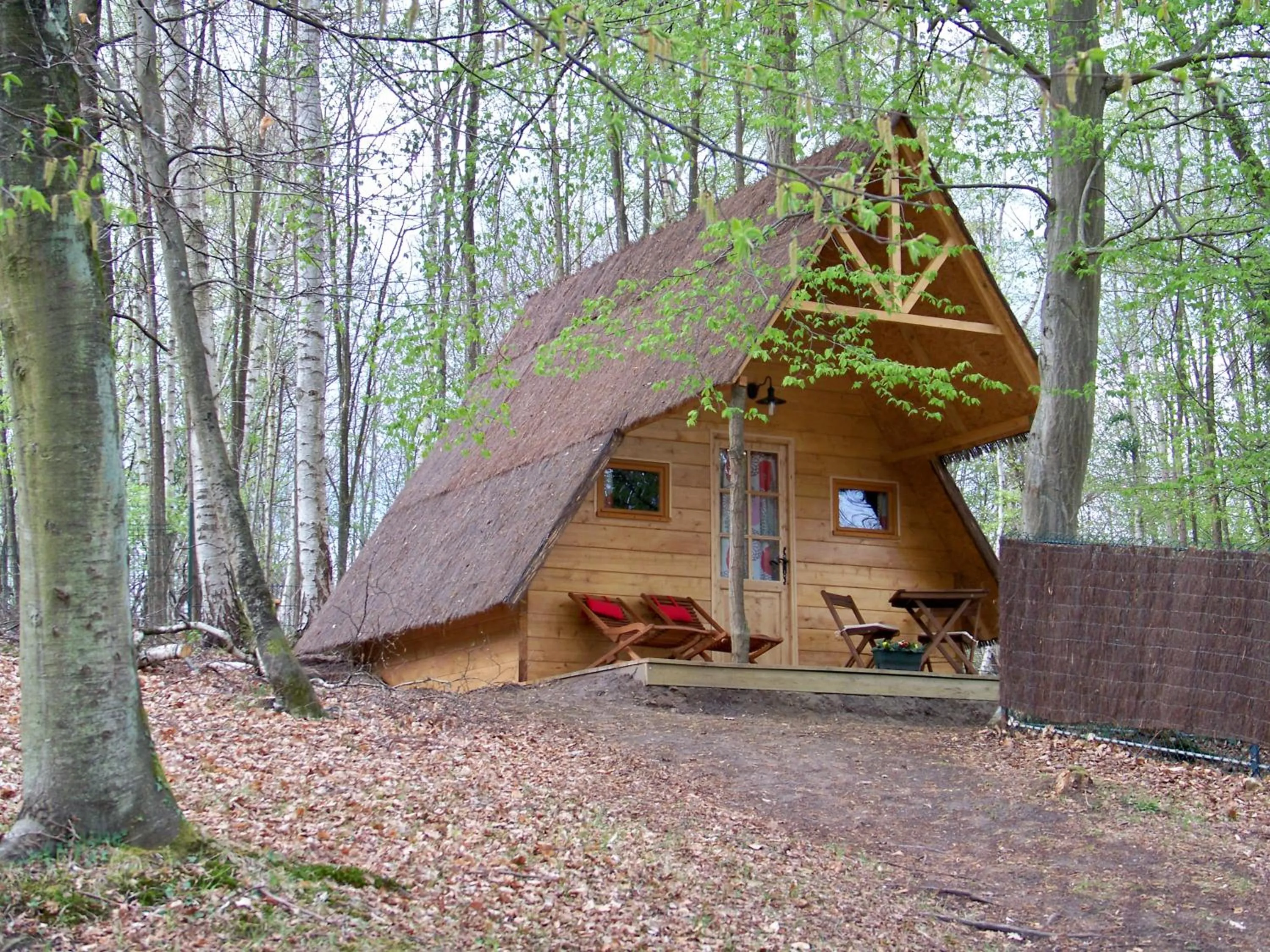Balcony/Terrace in Le Coeur De La Foret