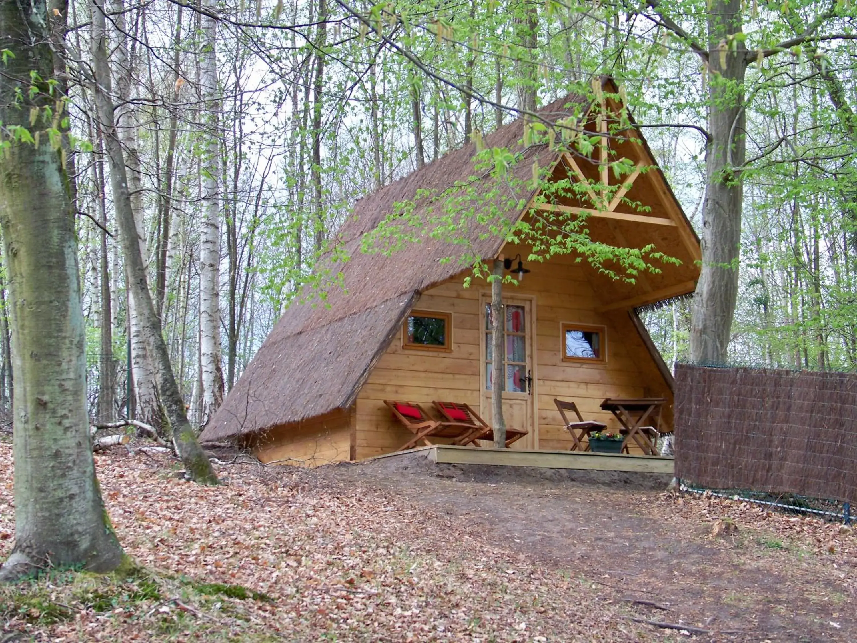 Double Room in Le Coeur De La Foret Double Room in Le Coeur De La Foret