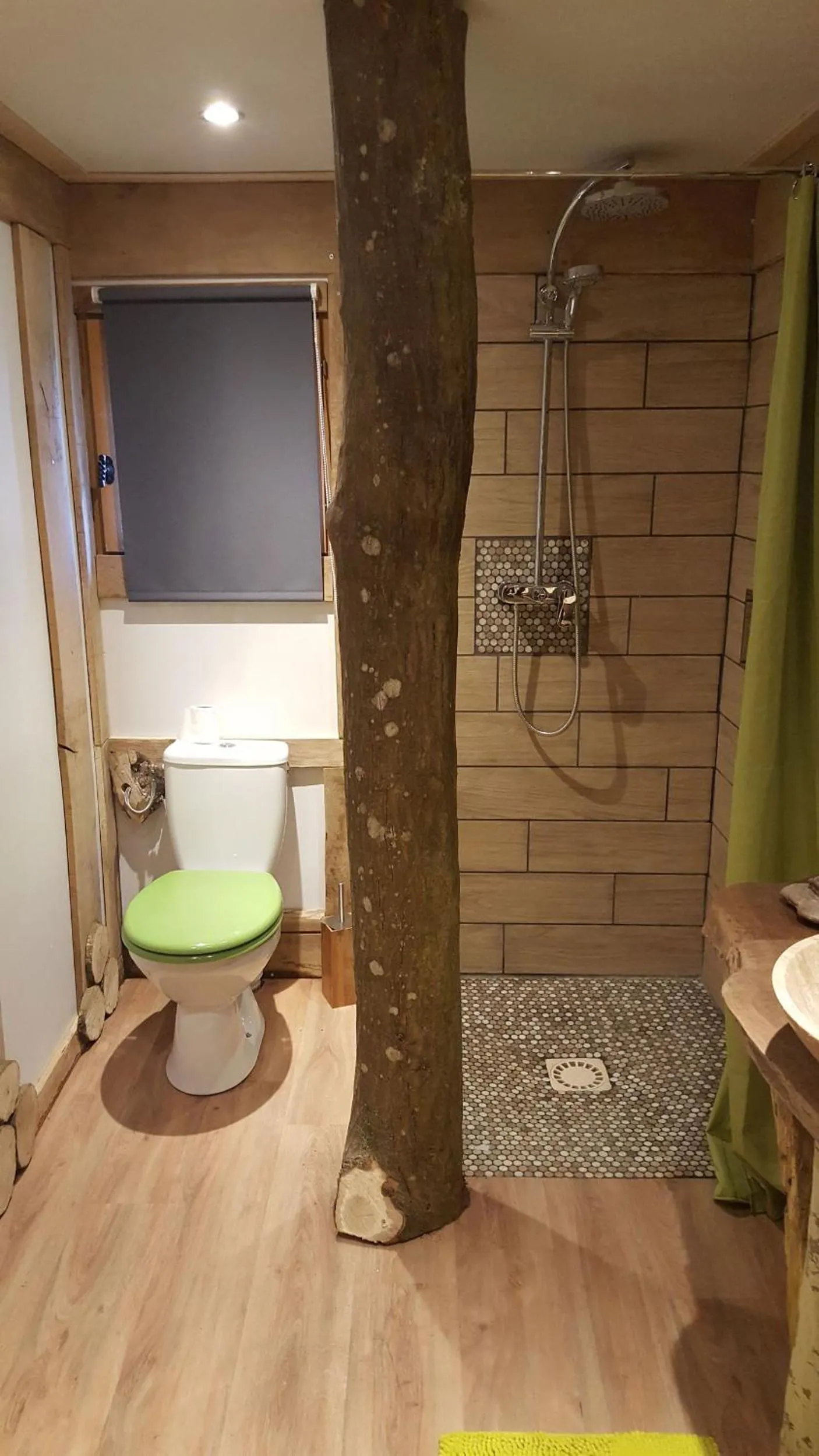 Shower in Le Coeur De La Foret