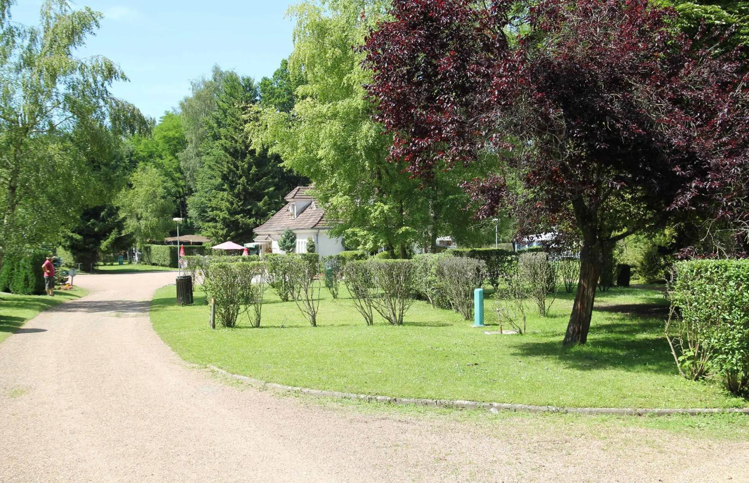 View (from property/room) in Le Coeur De La Foret