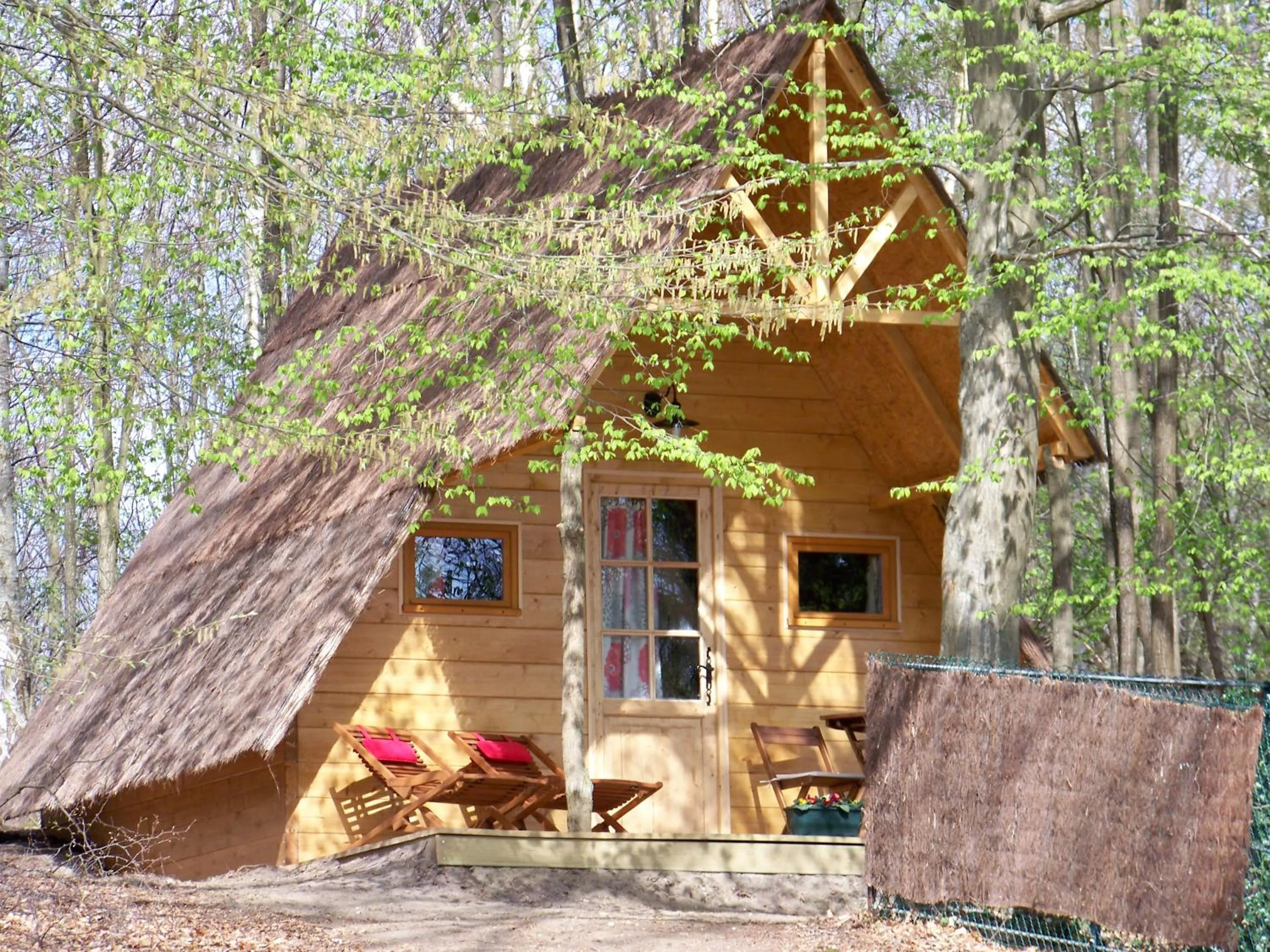 Patio in Le Coeur De La Foret
