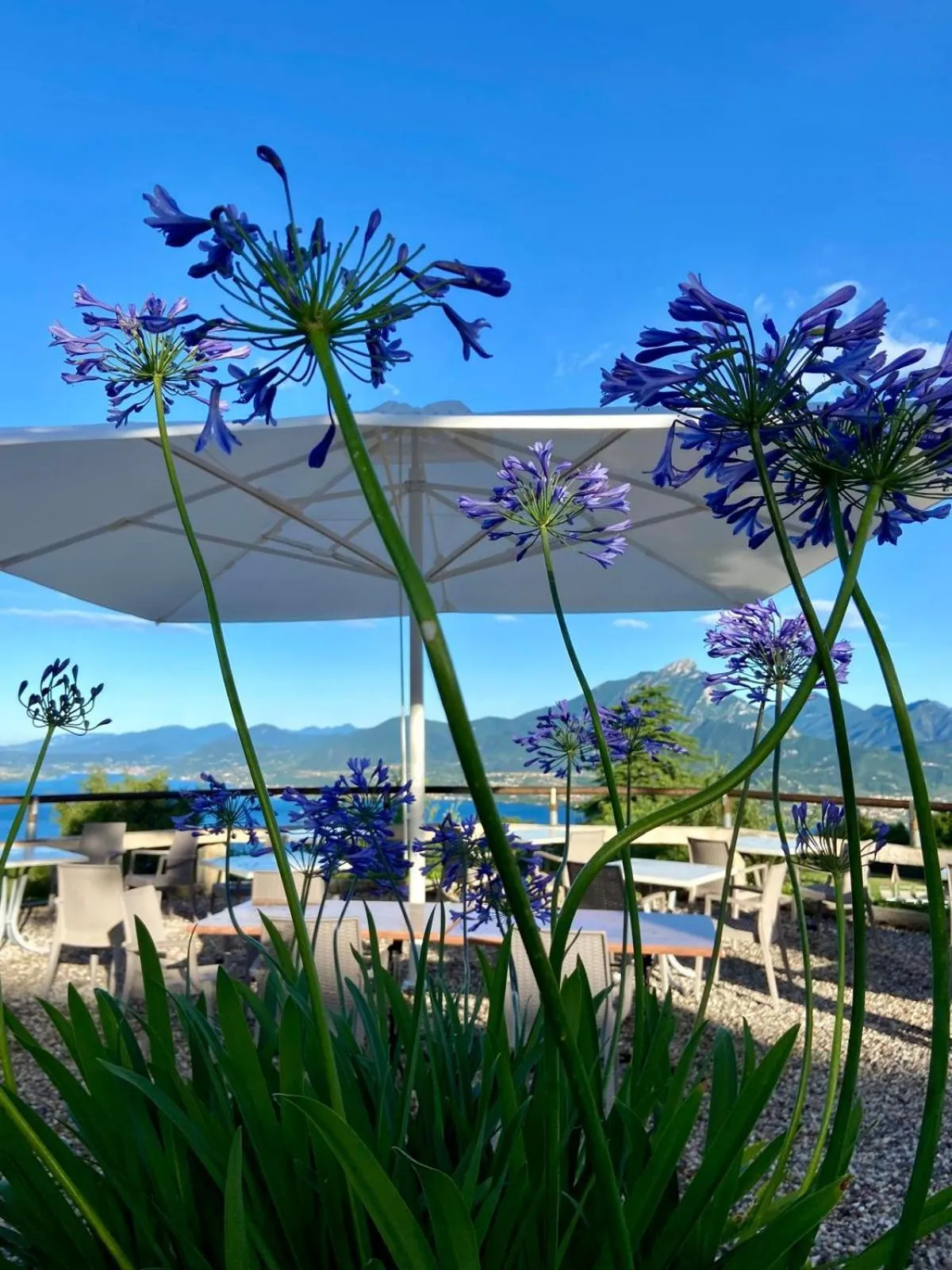 Natural landscape in Hotel Bellavista