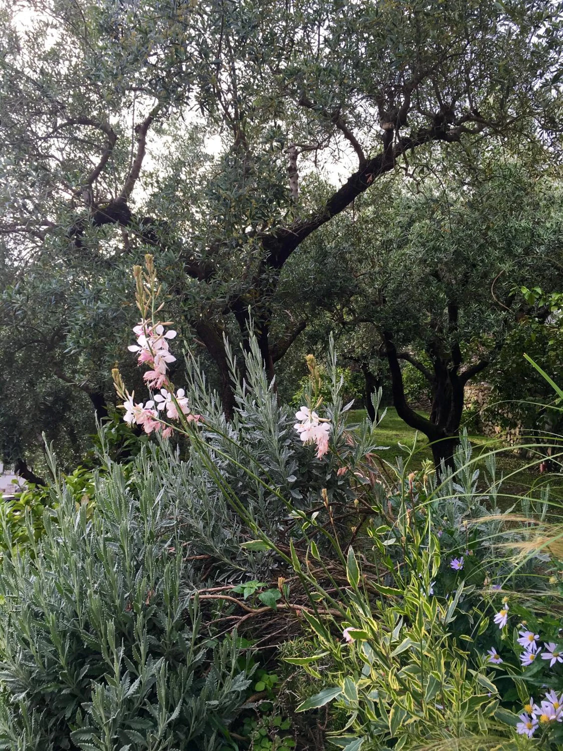 Garden in Villa GILDA Relax & Living