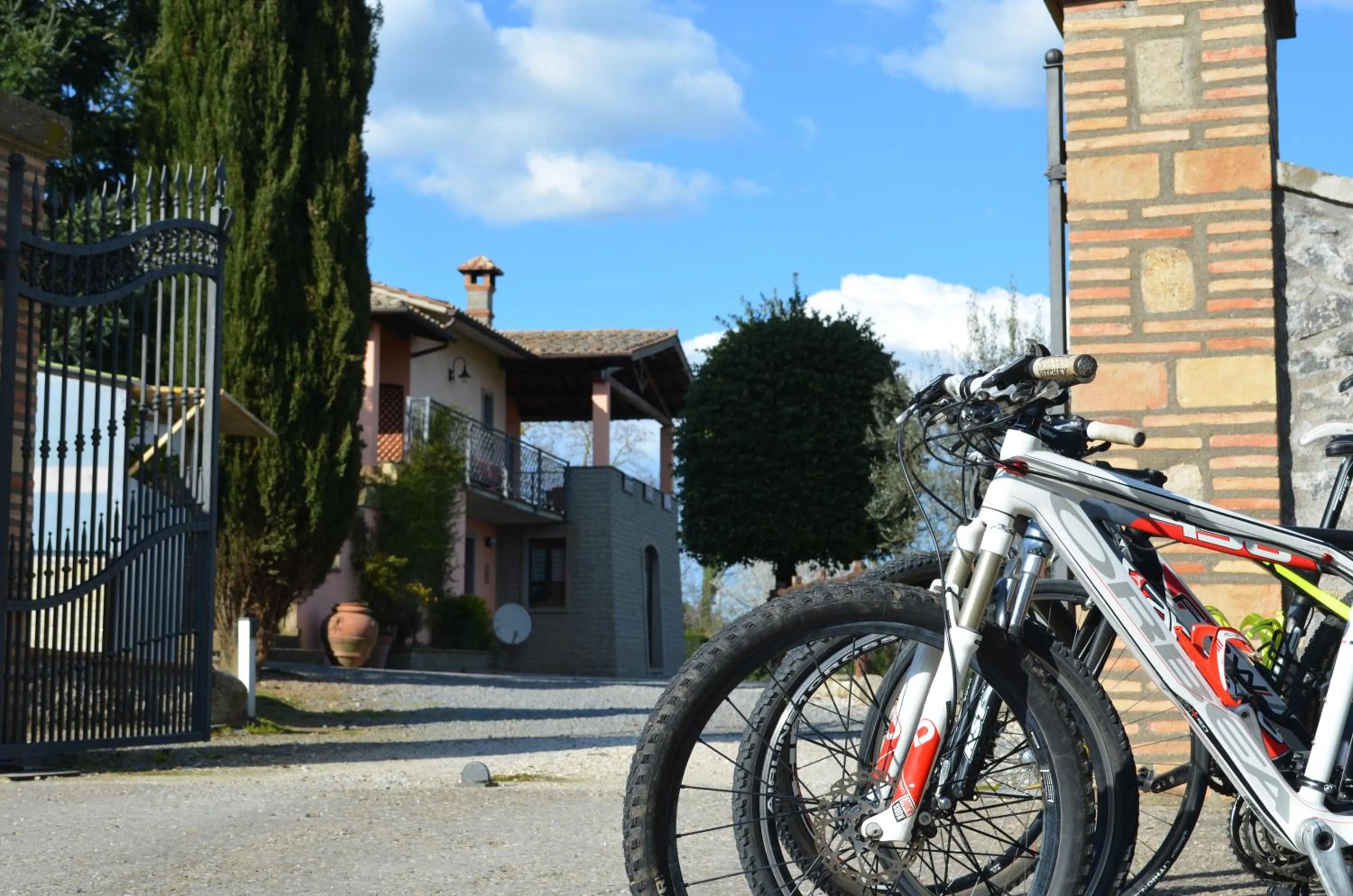 Decorative detail in Bed and Breakfast Bike
