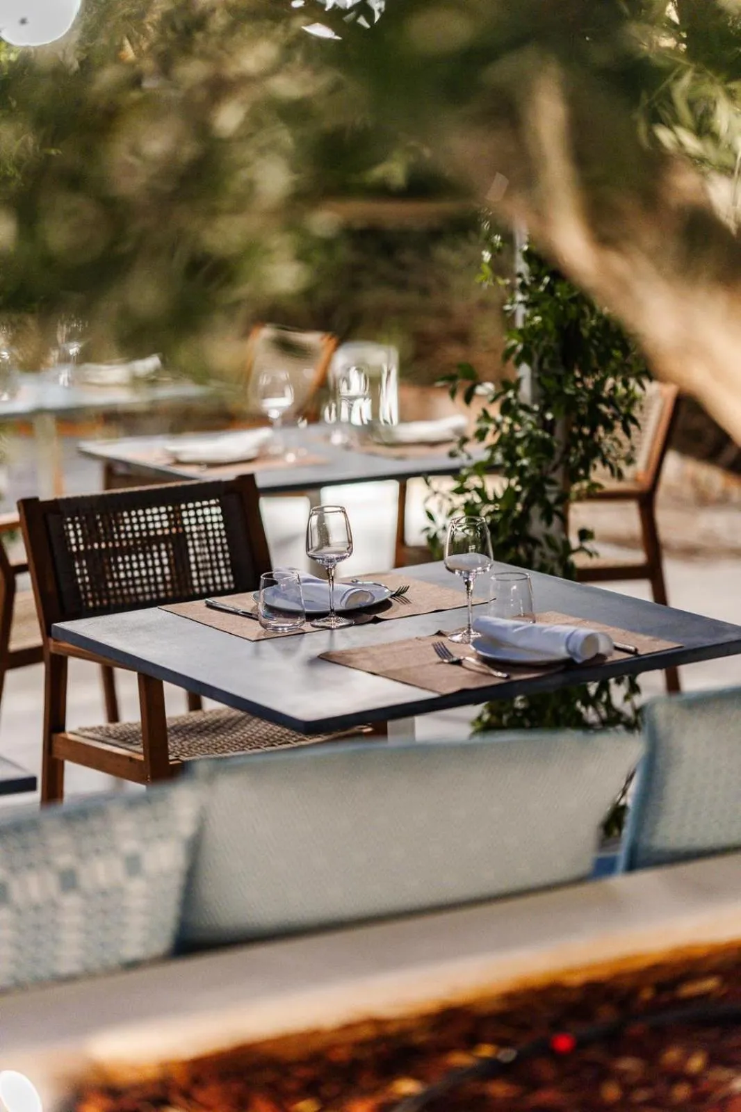 Restaurant/places to eat in Montiro' Hotel