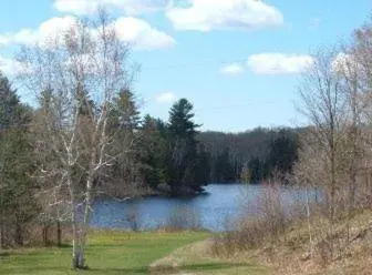 Queen Room with Pool and Lake View - single occupancy - Non-Smoking/Pet Friendly in Quiet Bay Inn & Café Queen Room with Pool and Lake View - single occupancy - Non-Smoking/Pet Friendly in Quiet Bay Inn & Café