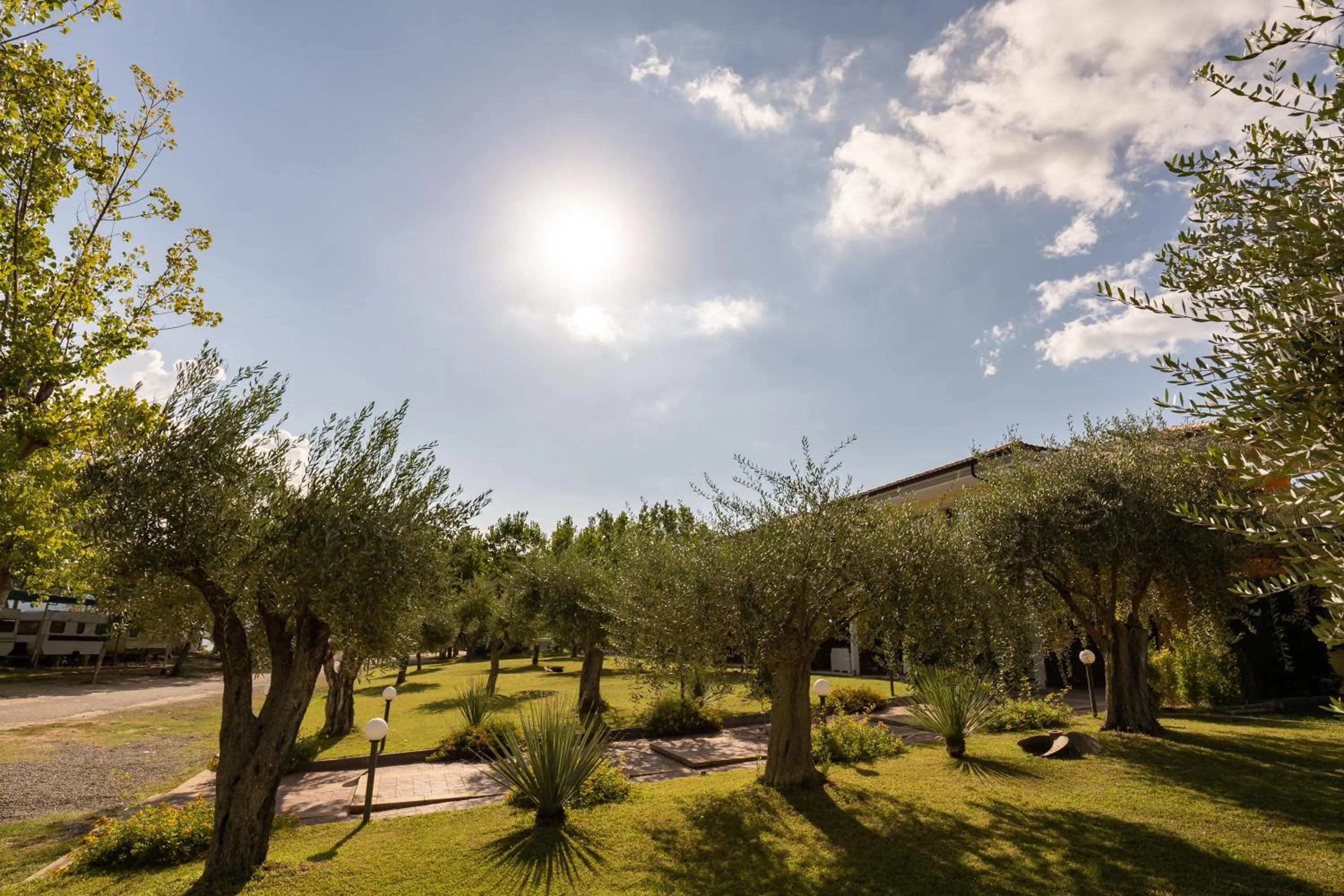 Garden in Hotel Baia Di Trainiti