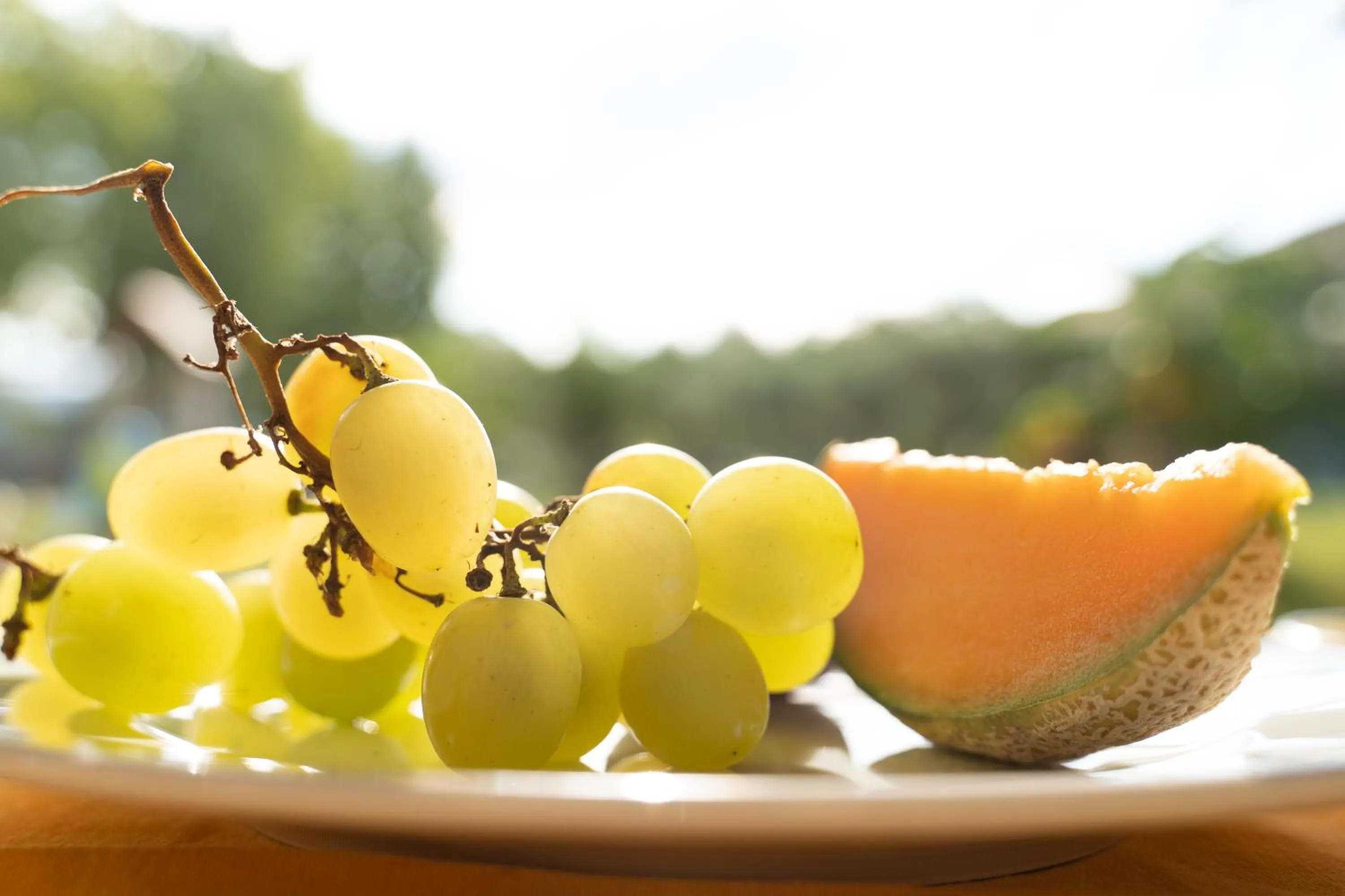 Food and drinks in Hotel Baia Di Trainiti