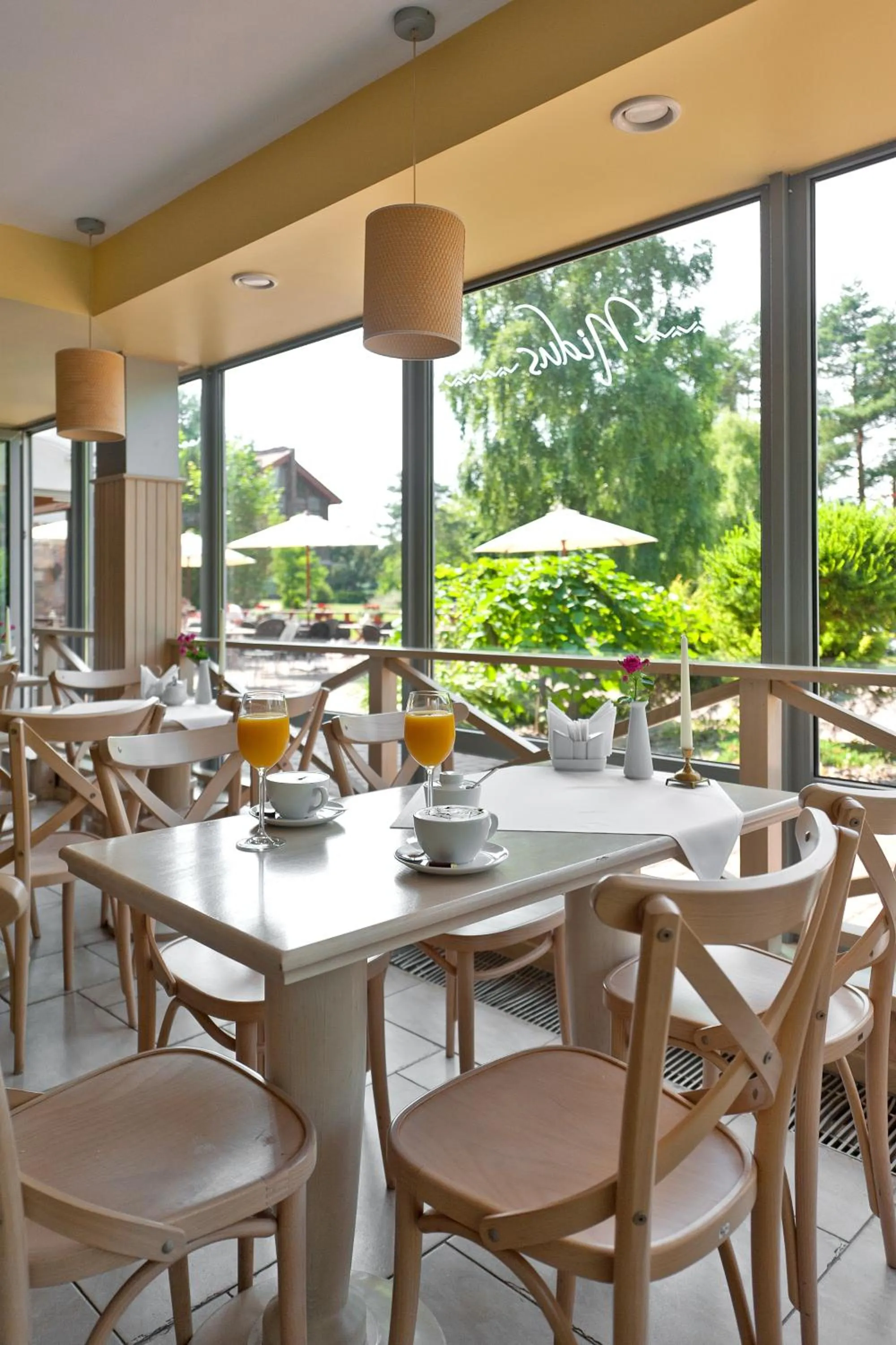 Restaurant/places to eat in Nidus