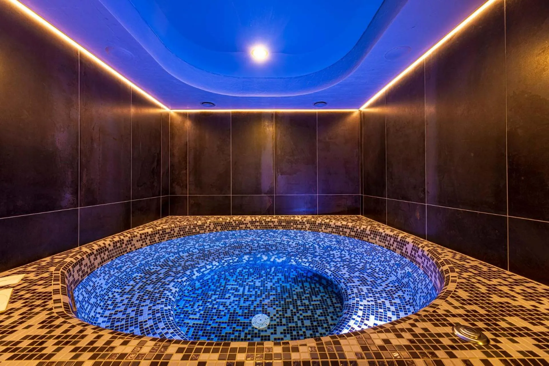 Swimming pool in Nidus