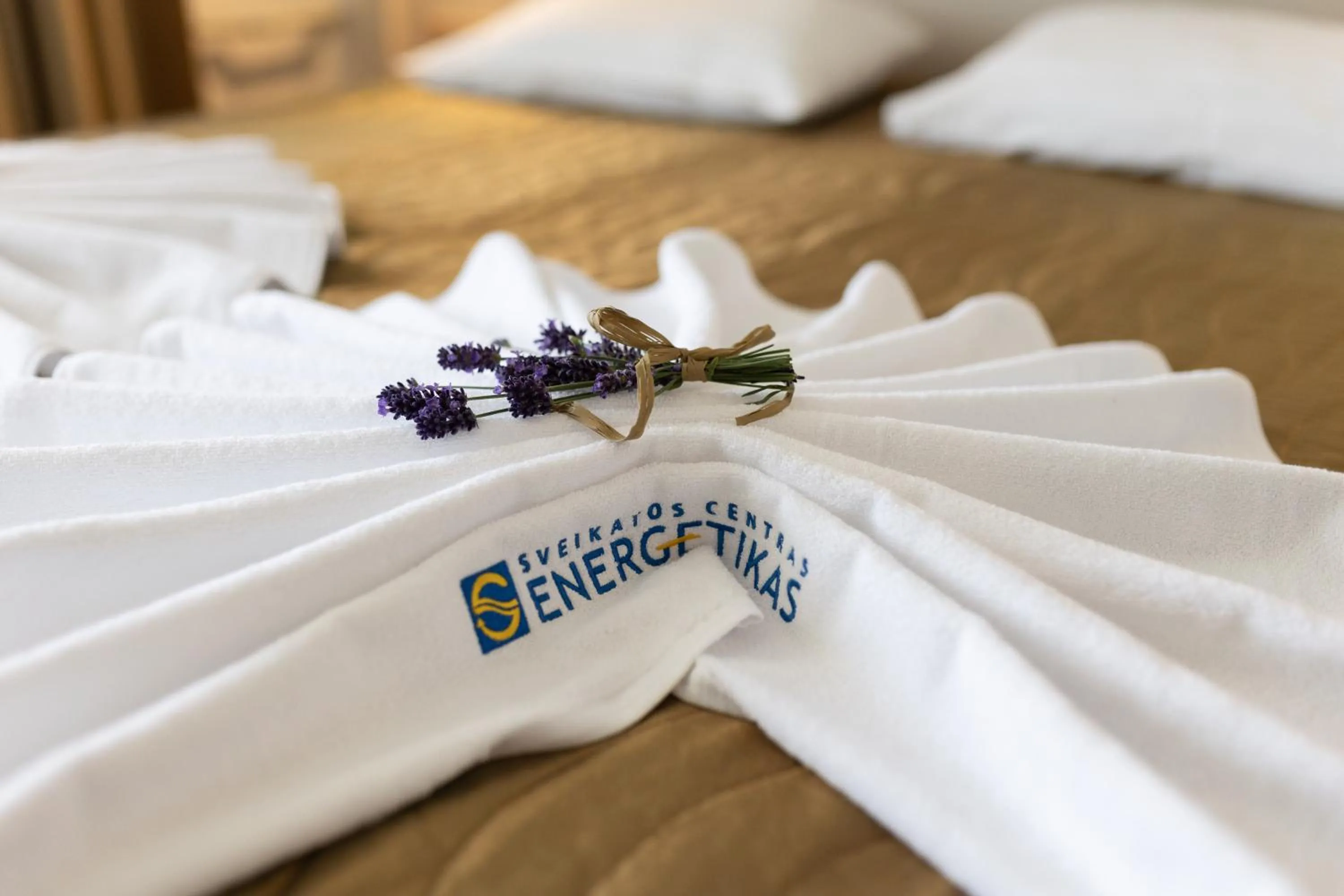 Property logo or sign, Bed in Health & Wellness Center Energetikas