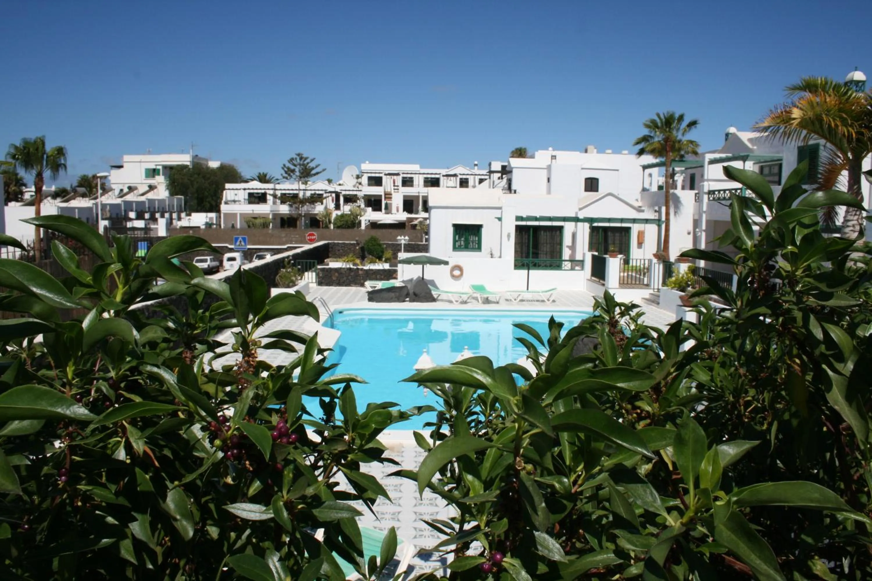Pool view in Apartamentos las Acacias