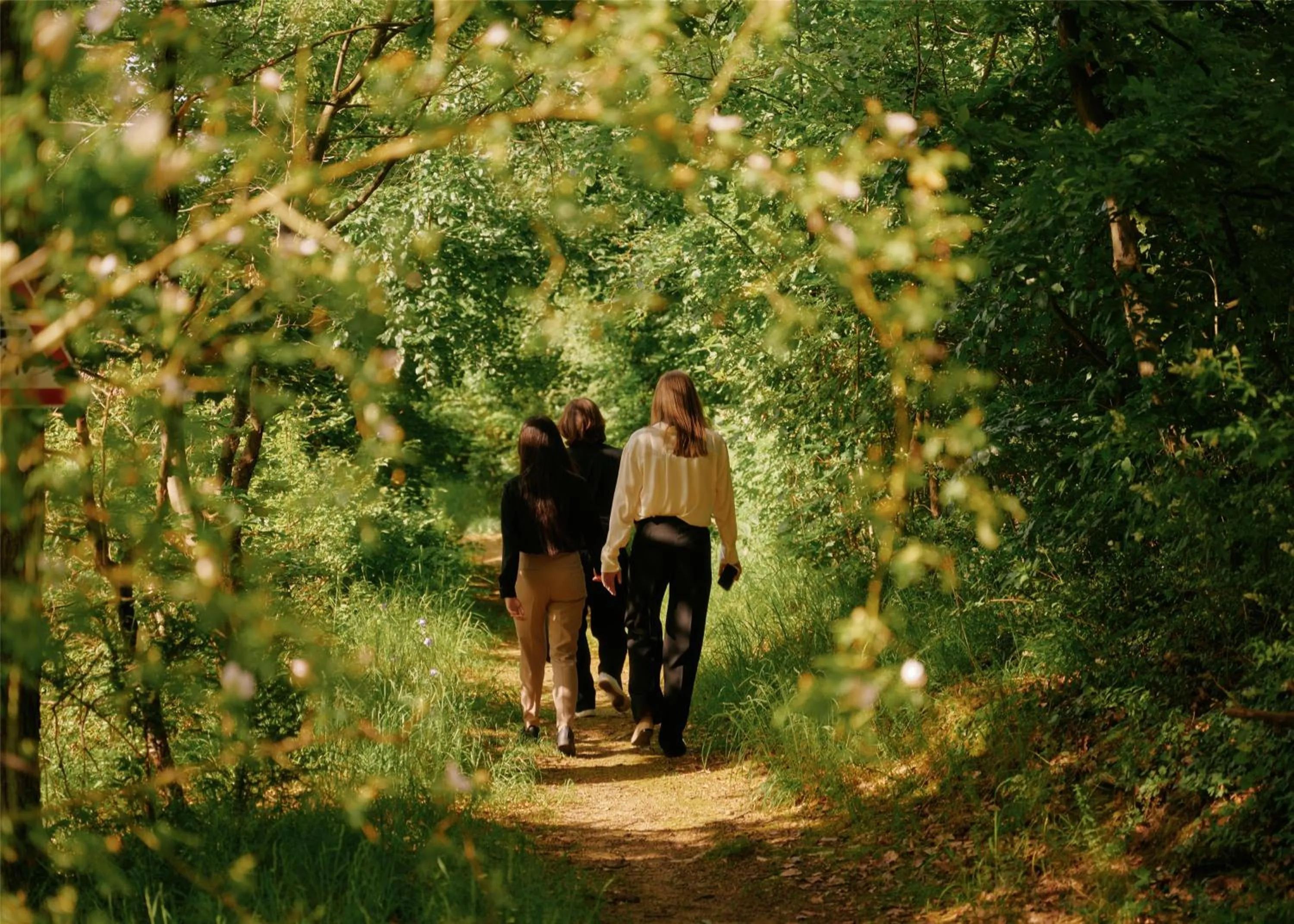 Garden in Lufthansa Seeheim - More than a Conference Hotel