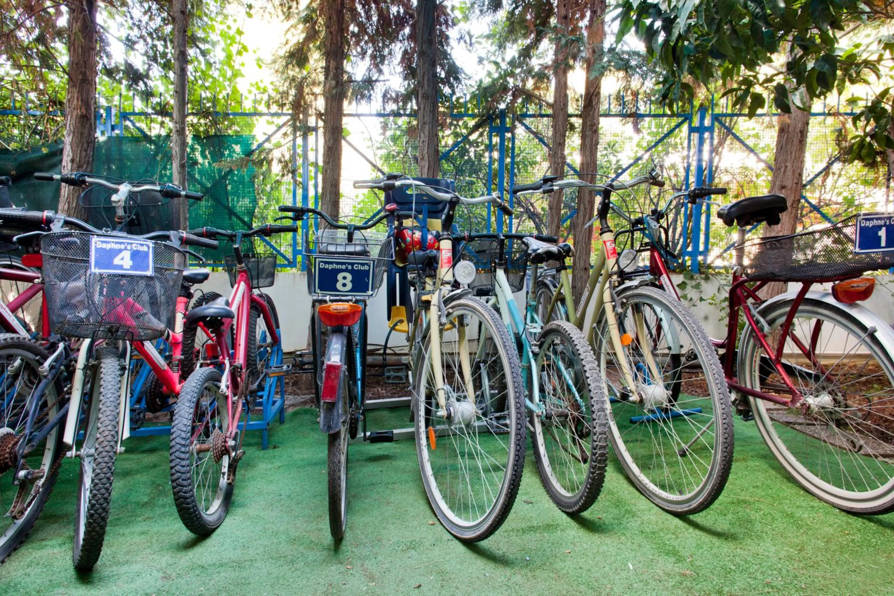 Cycling in Daphne's Club Hotel Apartments