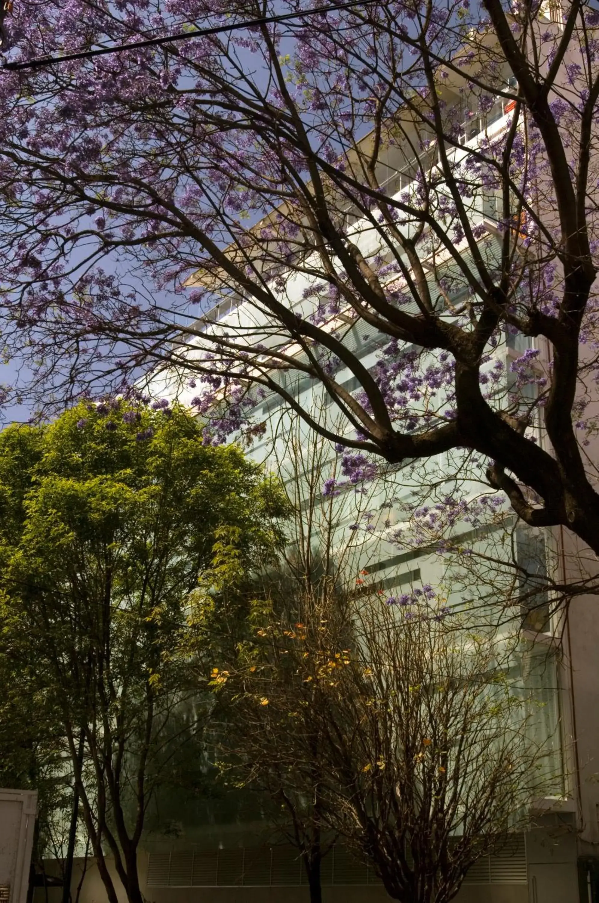 Facade/entrance in Habita, Mexico City, a Member of Design Hotels Facade/entrance in Habita, Mexico City, a Member of Design Hotels