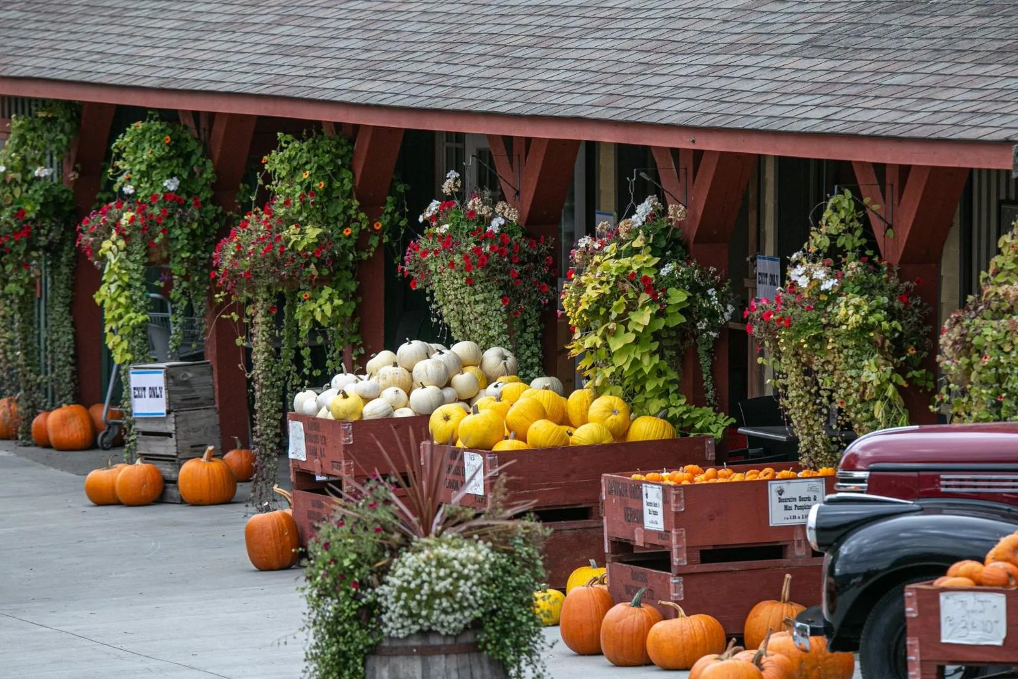 Area and facilities in Holiday Inn Express Hotel & Suites Vernon by IHG