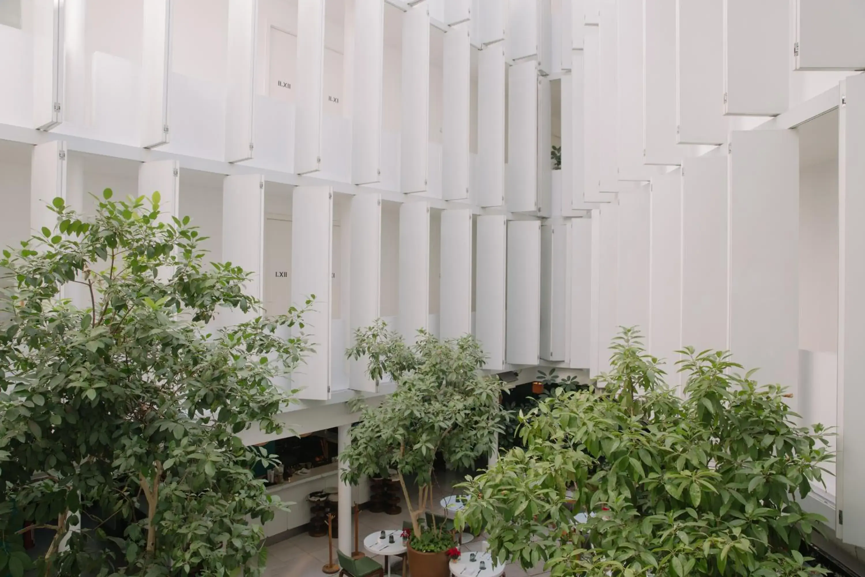 Property building in Condesa df, Mexico City, a Member of Design Hotels Property building in Condesa df, Mexico City, a Member of Design Hotels