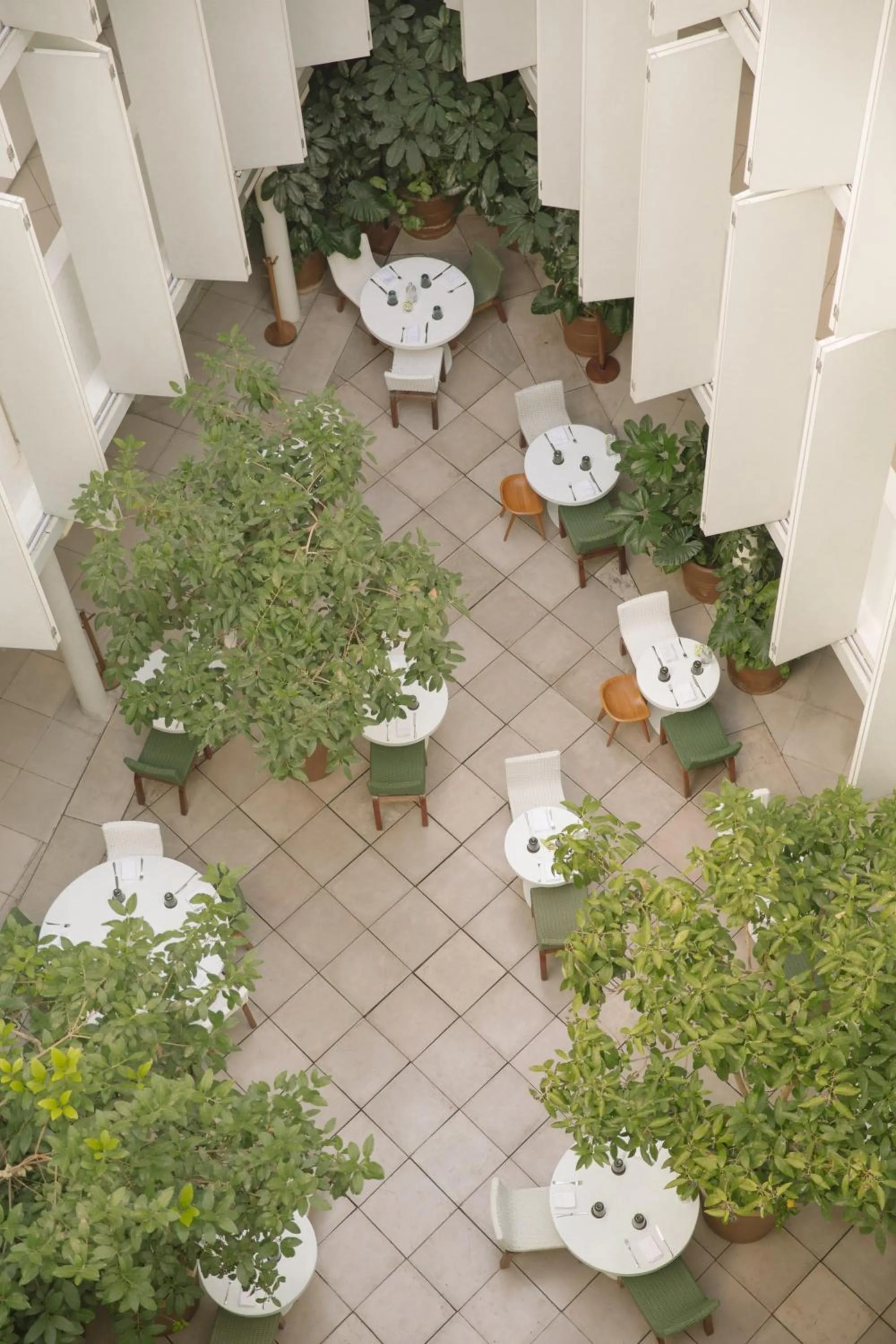 Patio in Condesa df, Mexico City, a Member of Design Hotels