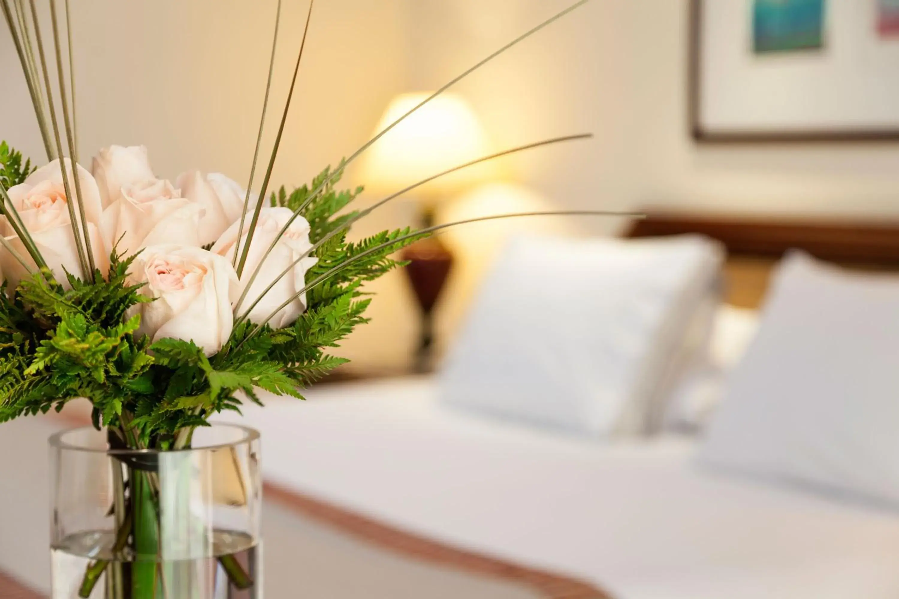 Bed in Hotel Plaza San Francisco Bed in Hotel Plaza San Francisco