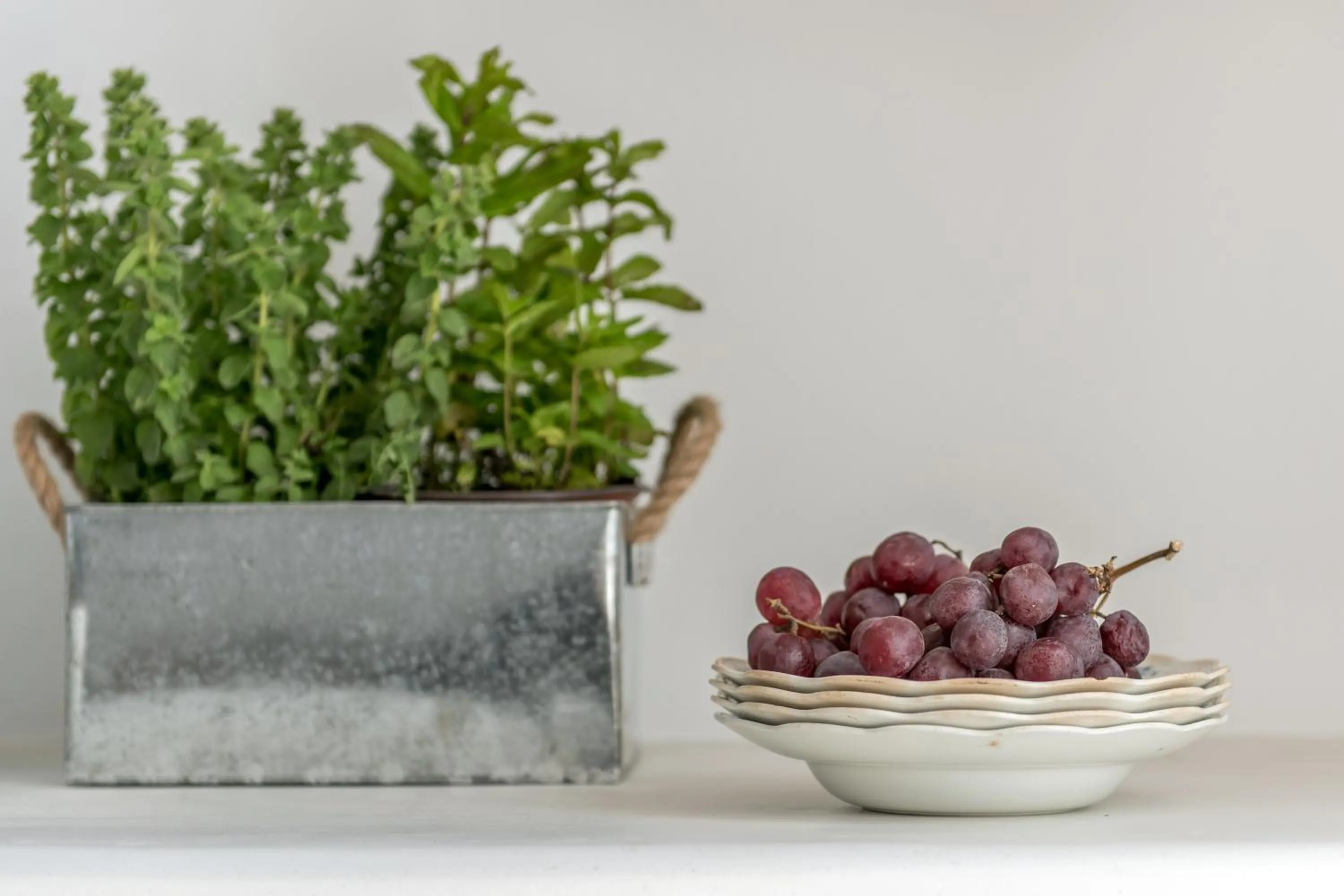 Food in Seven Suites