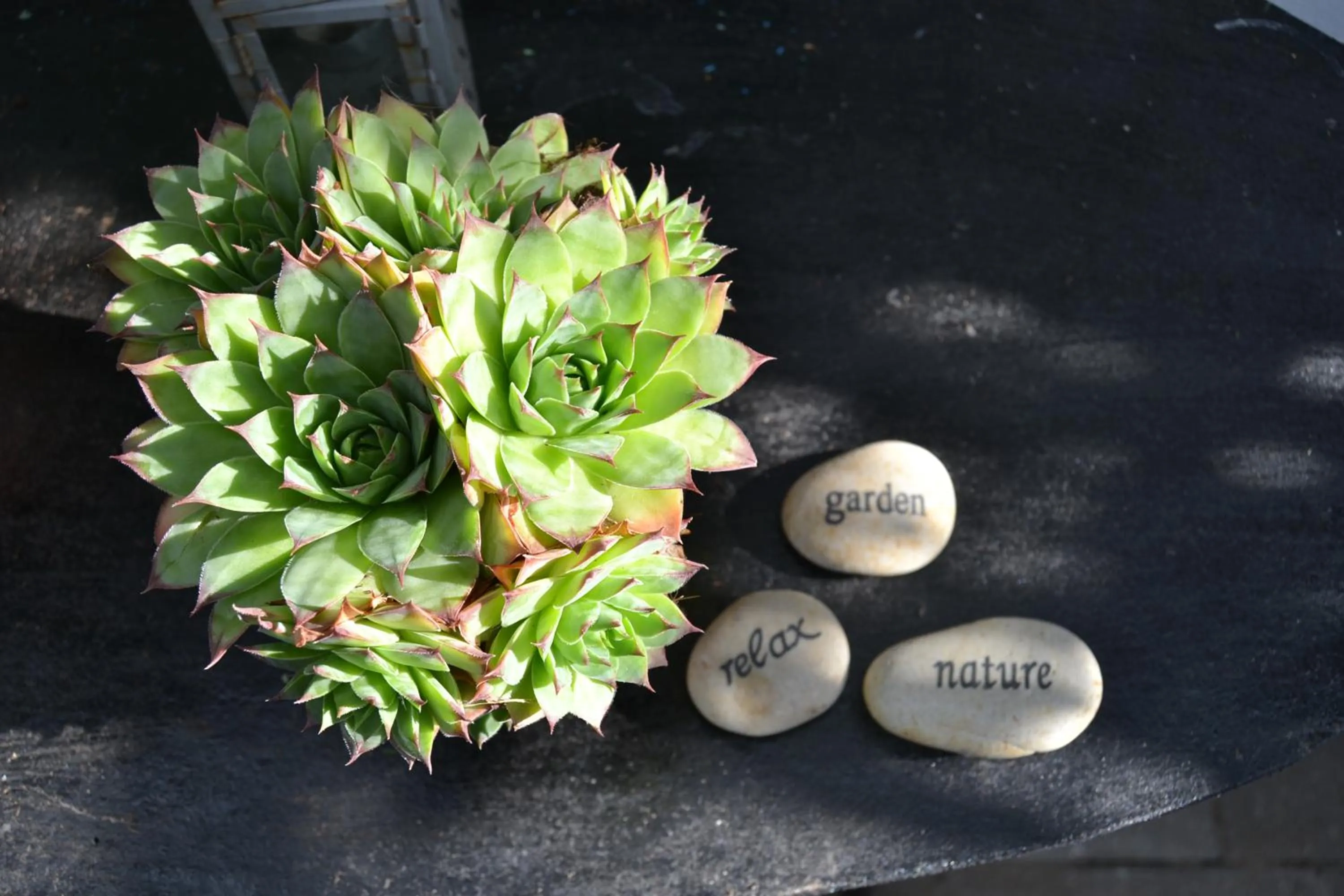 Decorative detail in Vibes bed&breakfast