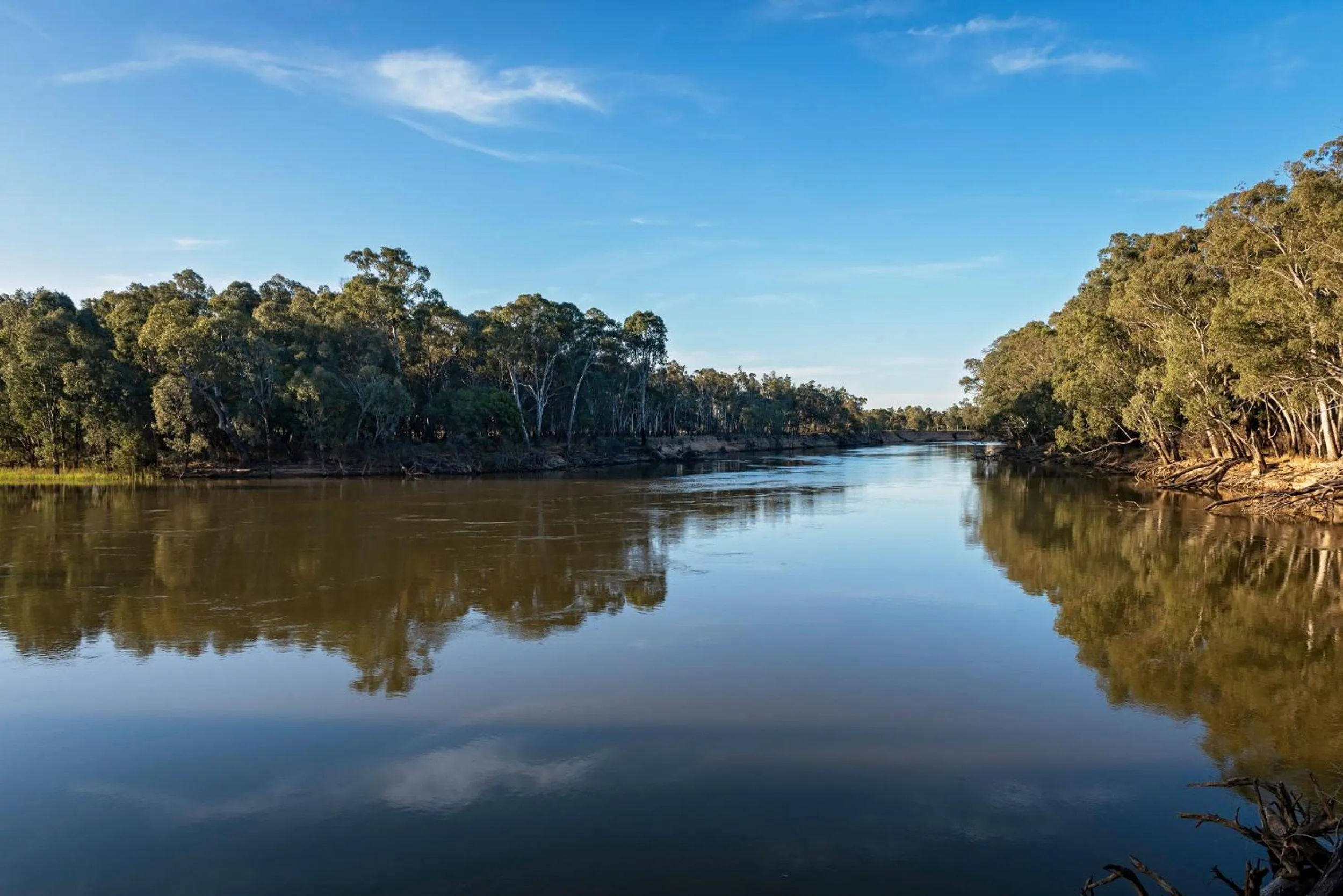 Natural landscape in Discovery Parks - Echuca