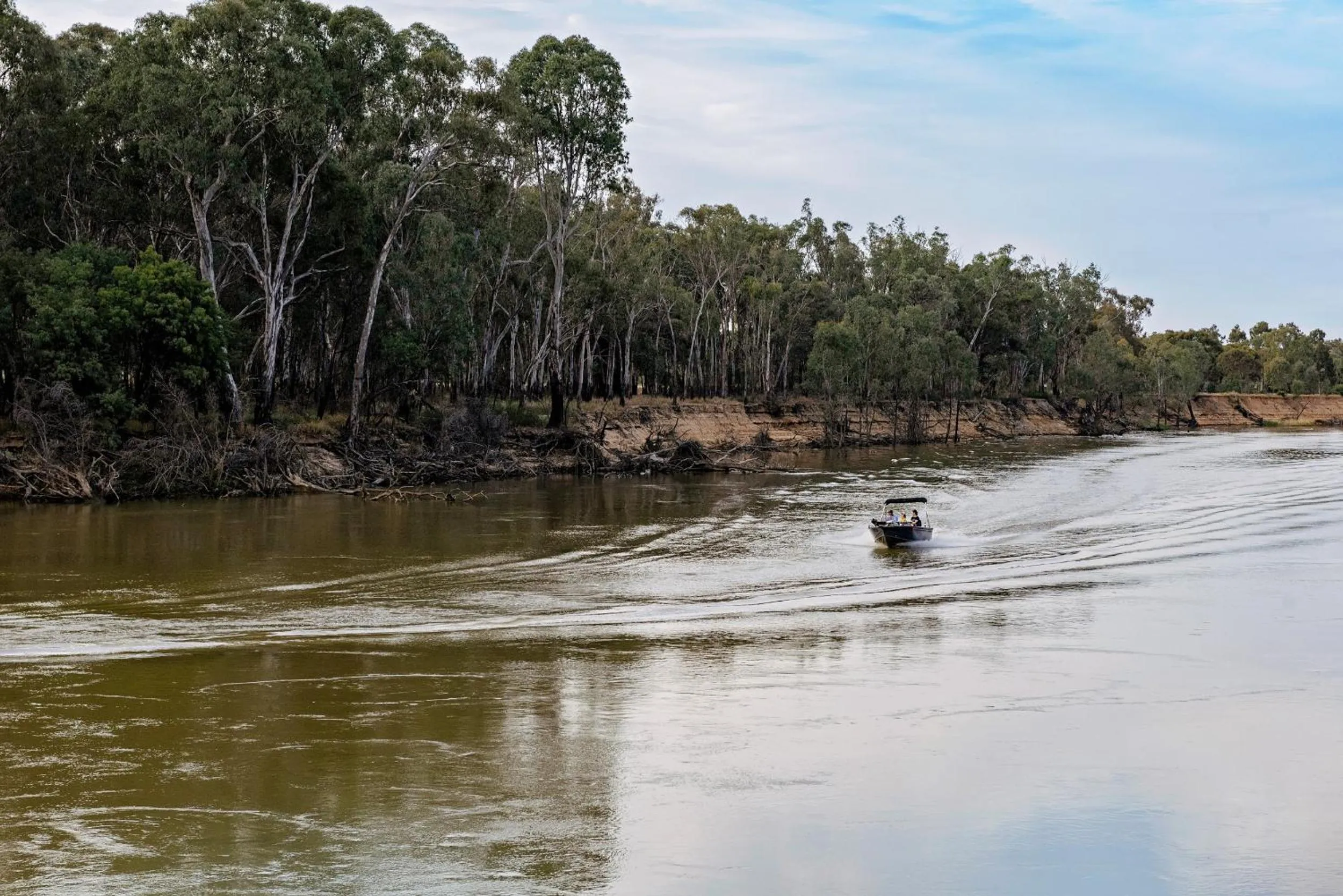 Natural landscape in Discovery Parks - Echuca