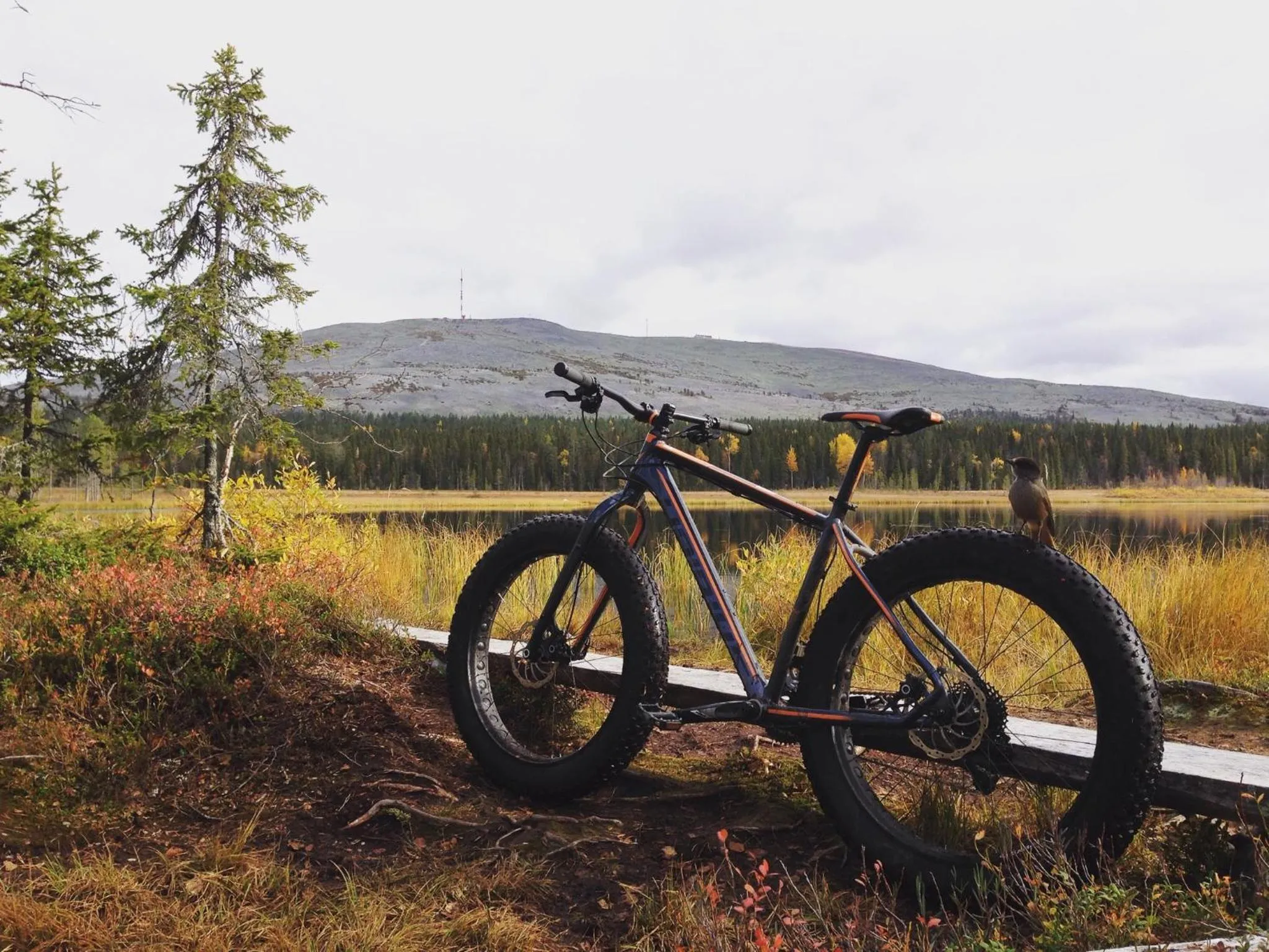 Natural landscape in Hotel Seita