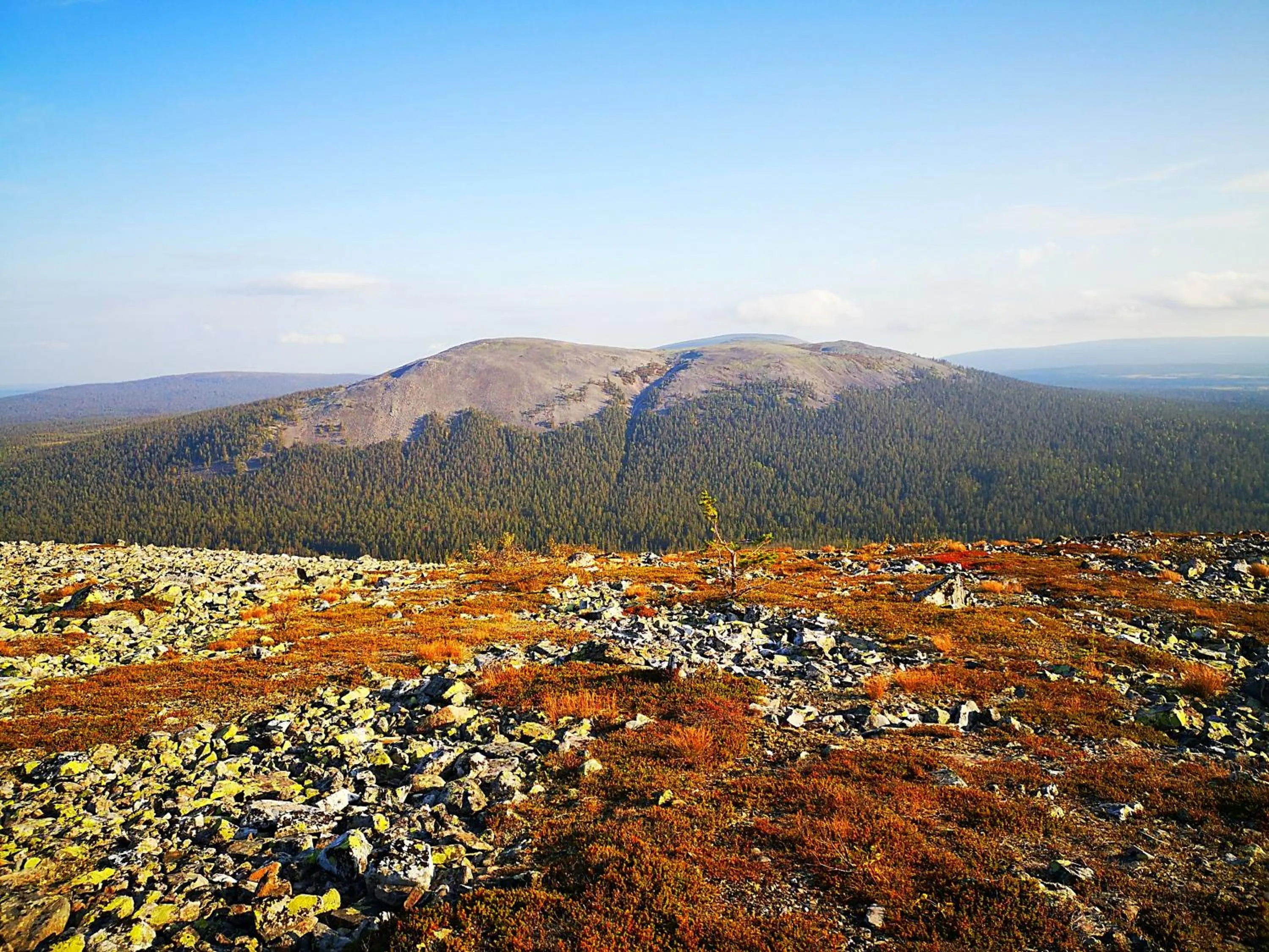 Natural landscape in Hotel Seita