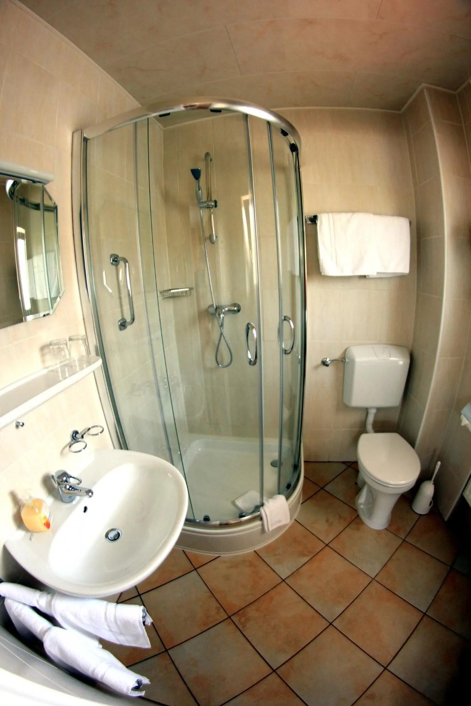 Bathroom in Hotel Schmid