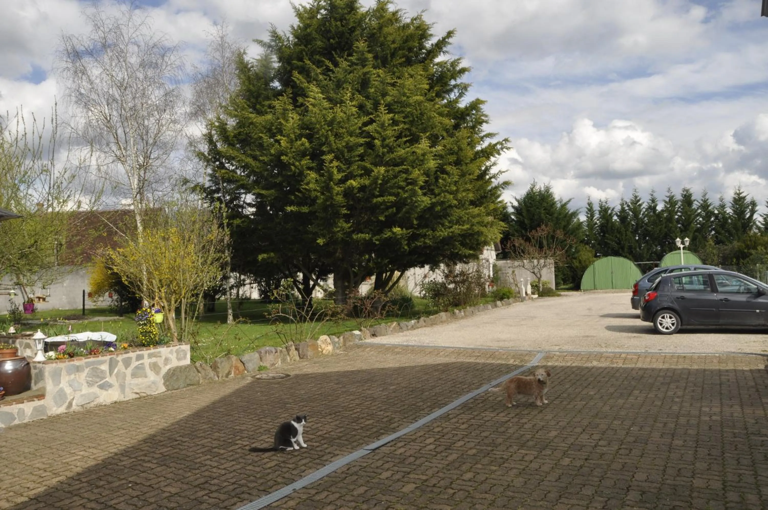 Spring in Les rouches