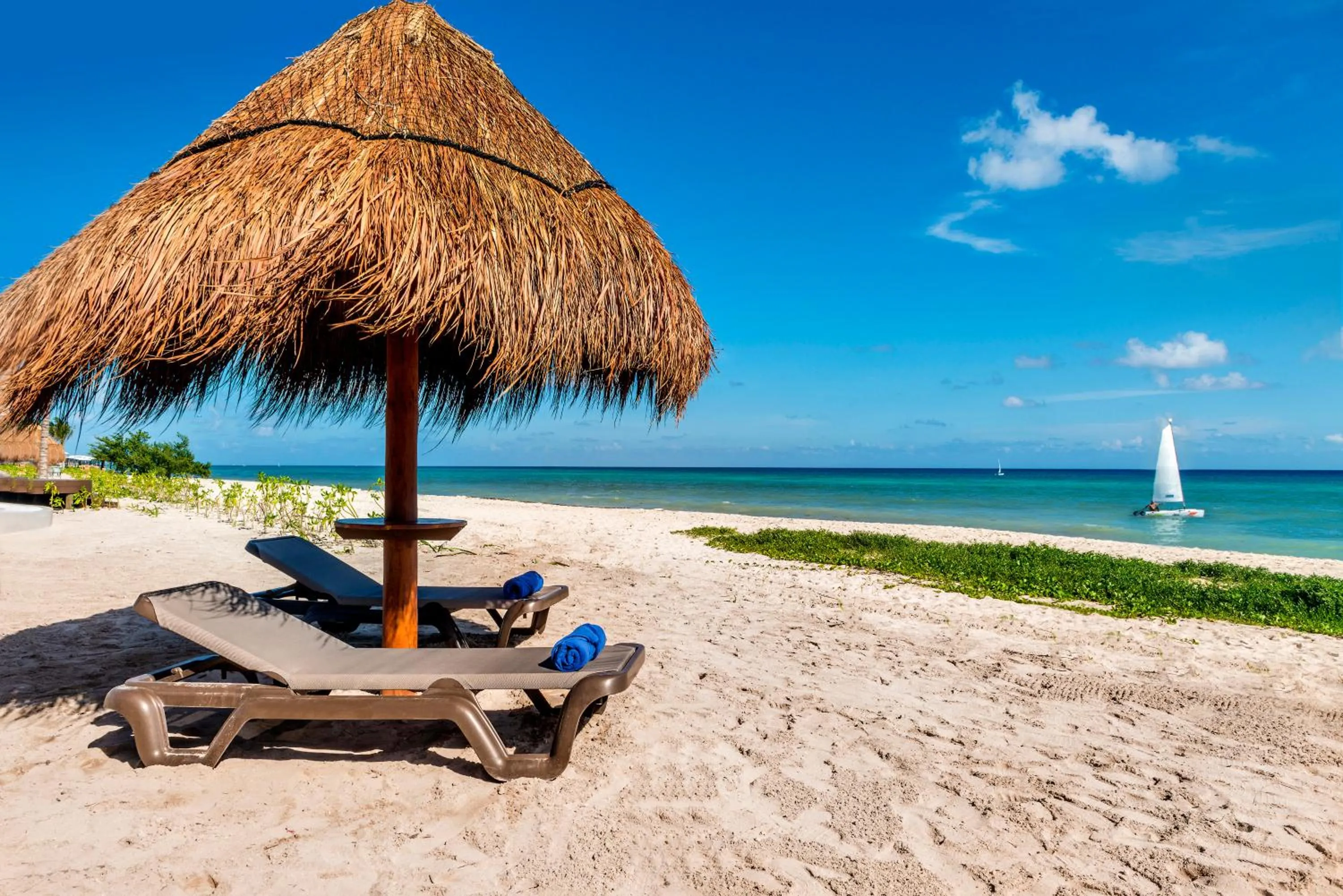 Day in Ocean Riviera Paradise All Inclusive