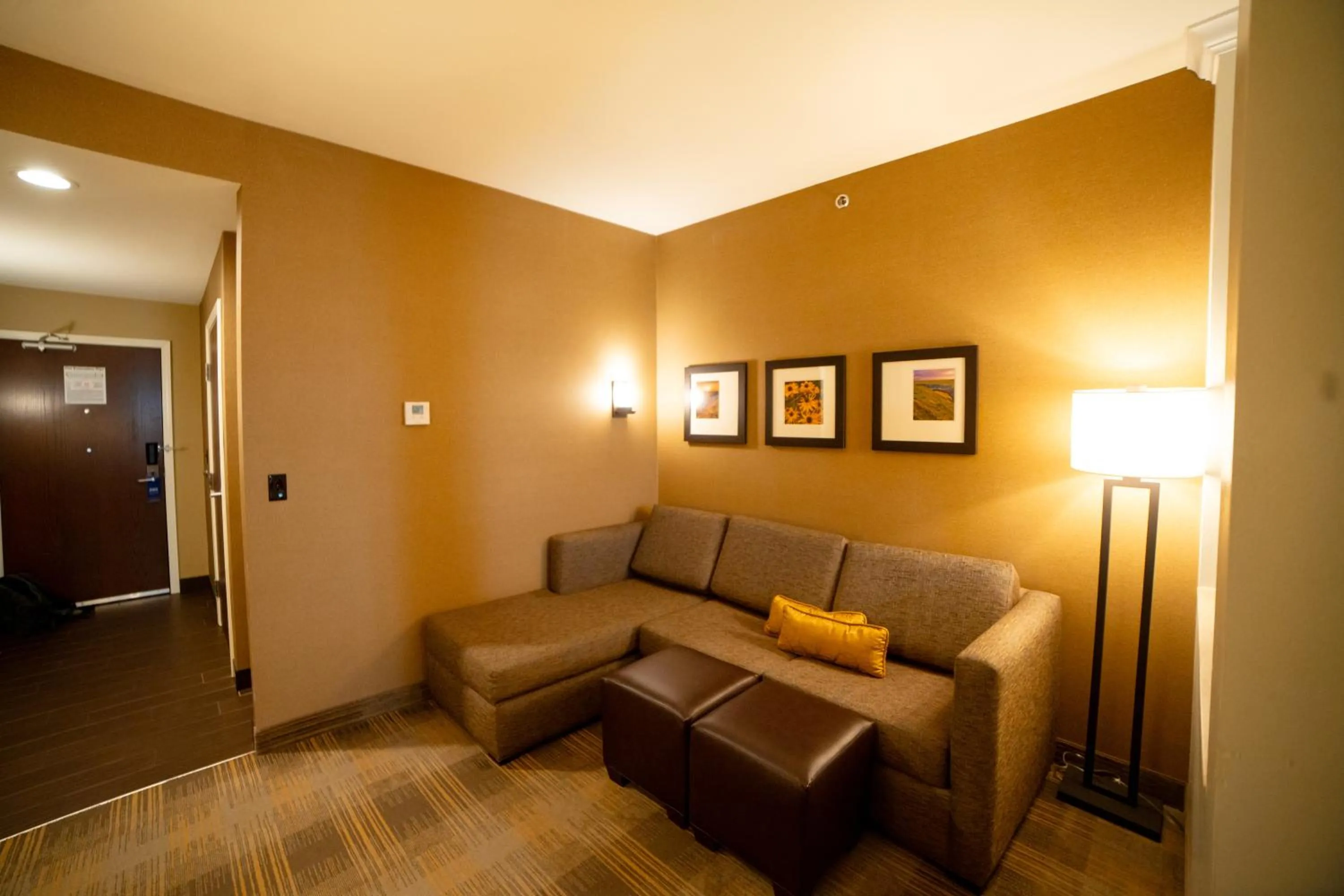 Living room in Comfort Suites University Brookings