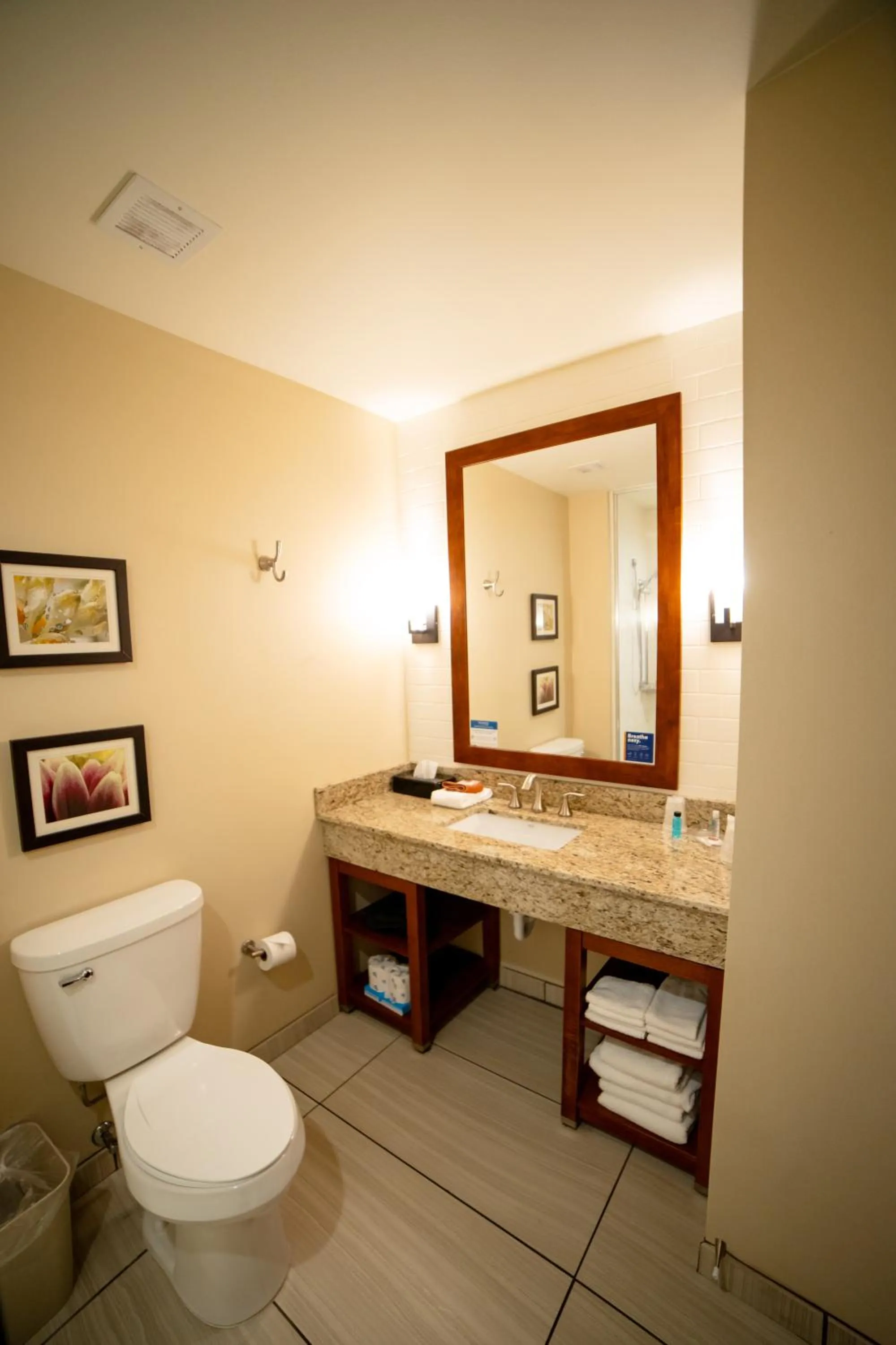 Toilet in Comfort Suites University Brookings