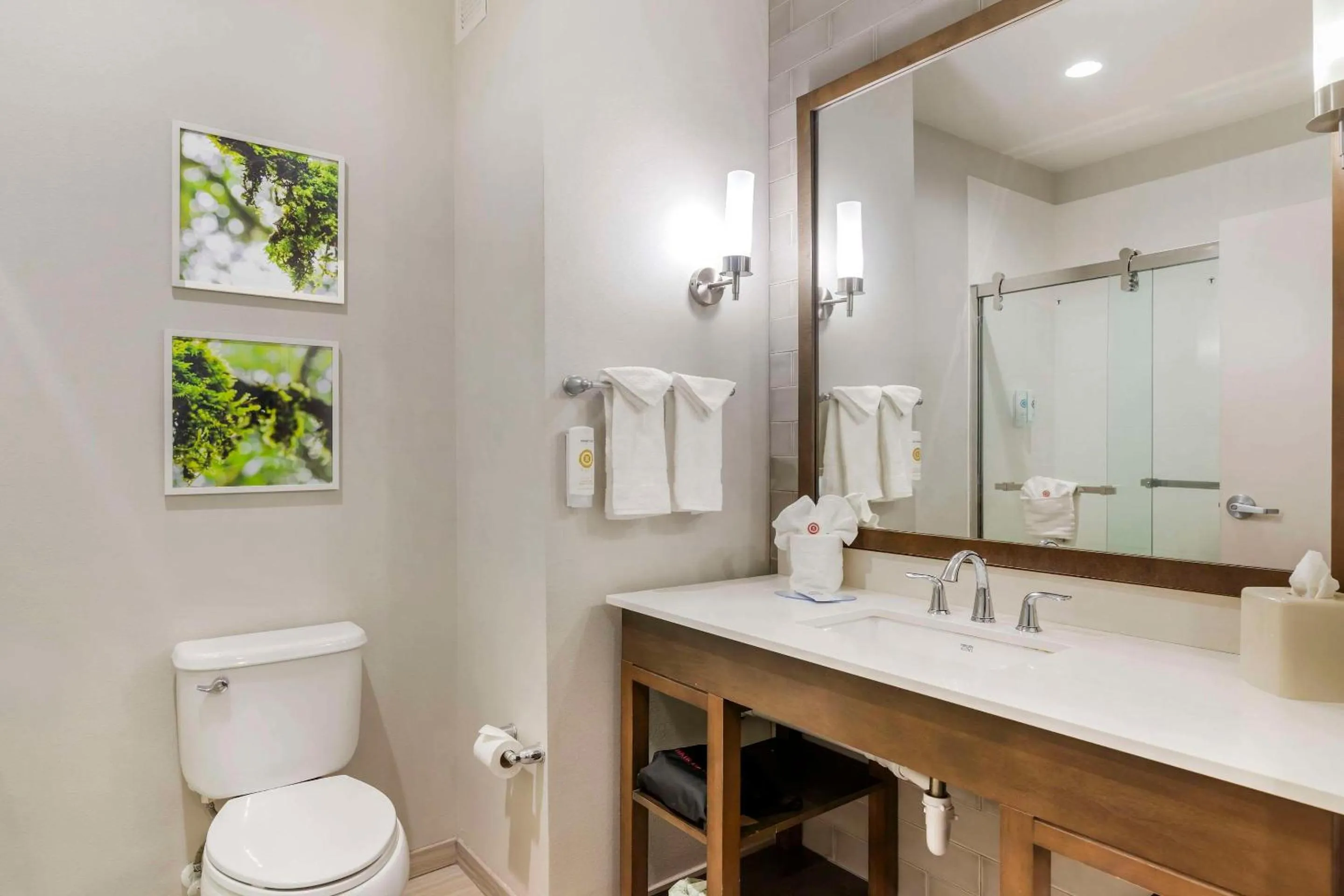 Bedroom in Comfort Inn & Suites Valdosta I-75