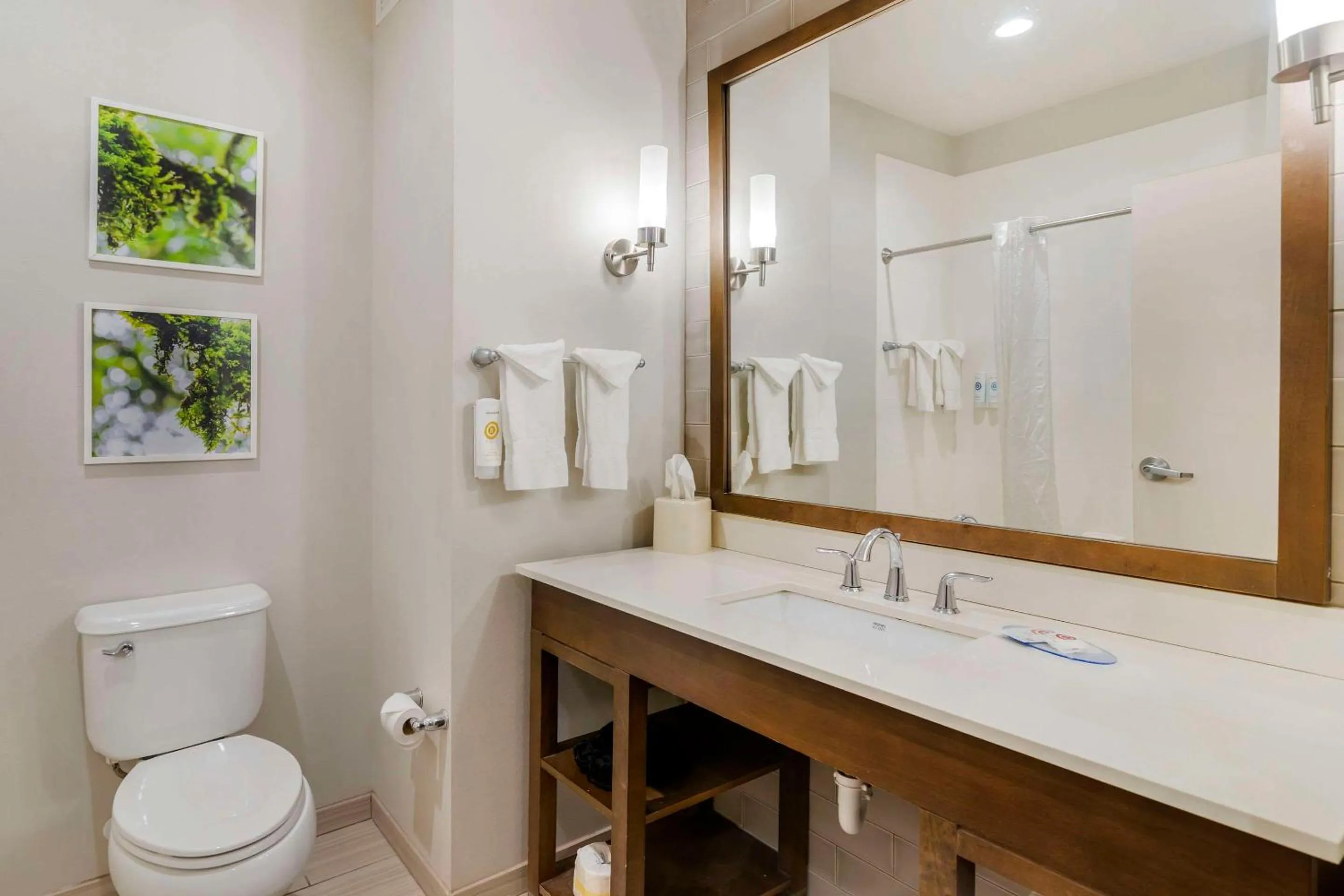 Bedroom in Comfort Inn & Suites Valdosta I-75