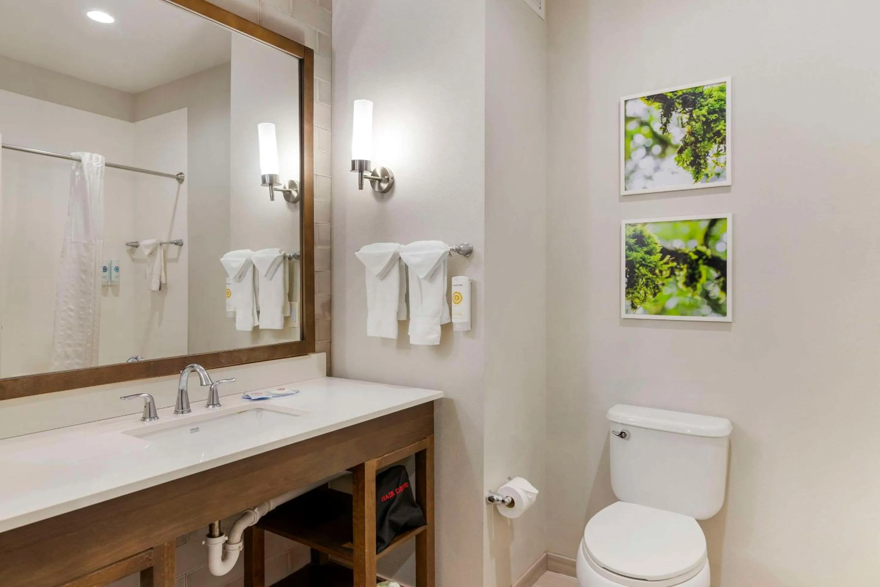 Bedroom in Comfort Inn & Suites Valdosta I-75