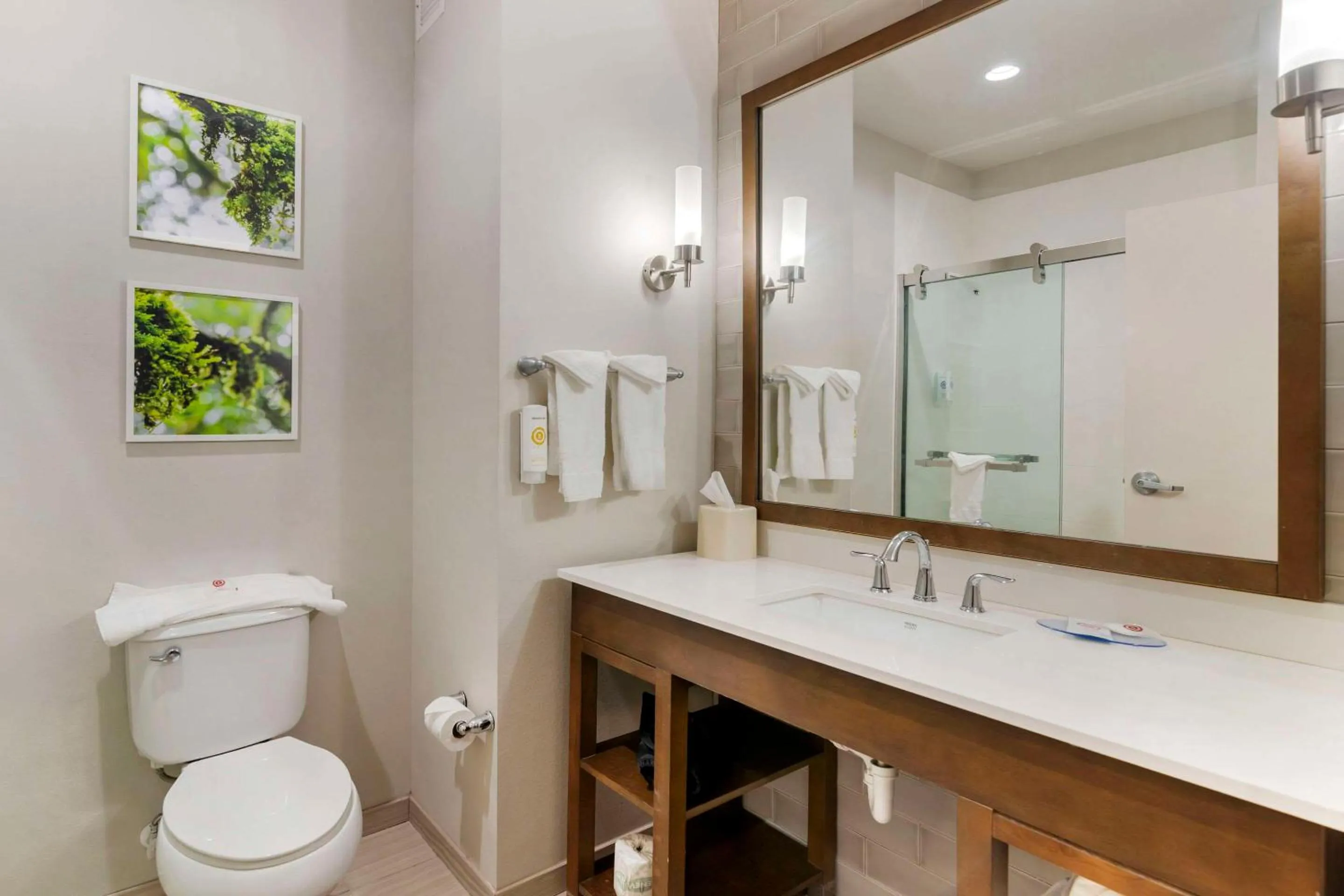 Bathroom in Comfort Inn & Suites Valdosta I-75