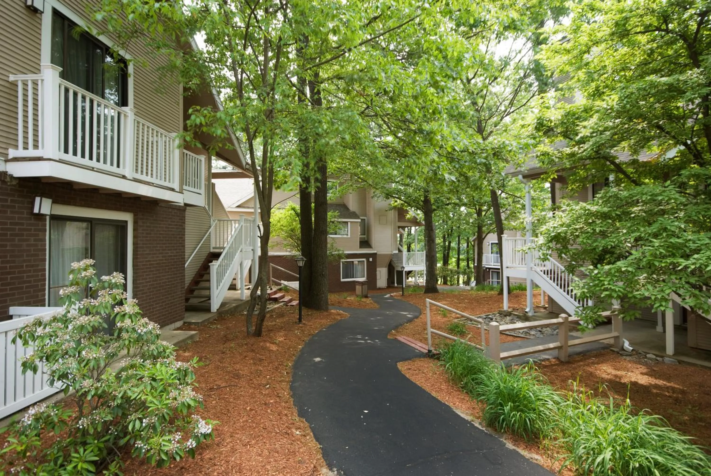 View (from property/room) in Residences at Daniel Webster