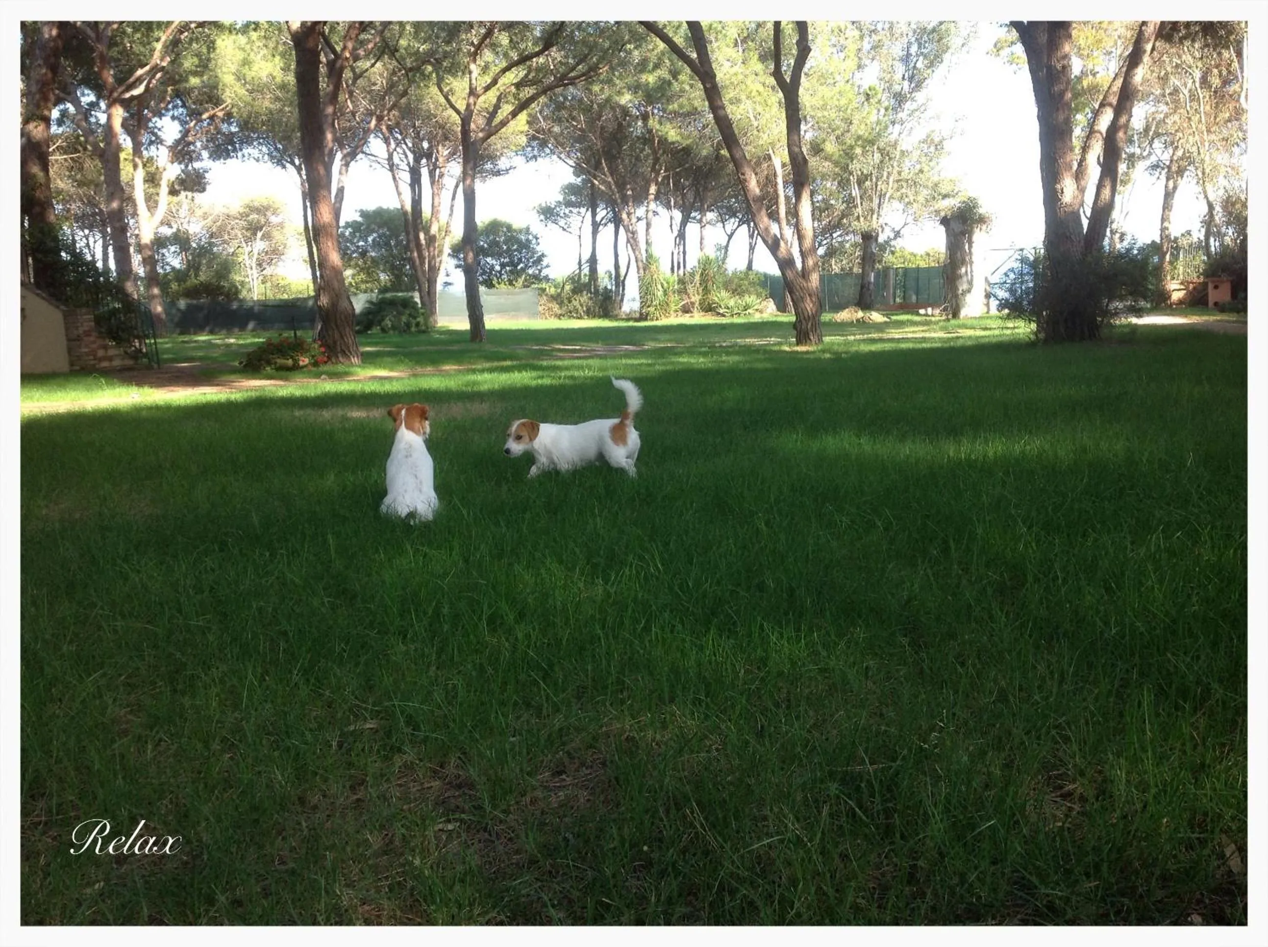Baia Delle Palme Beach