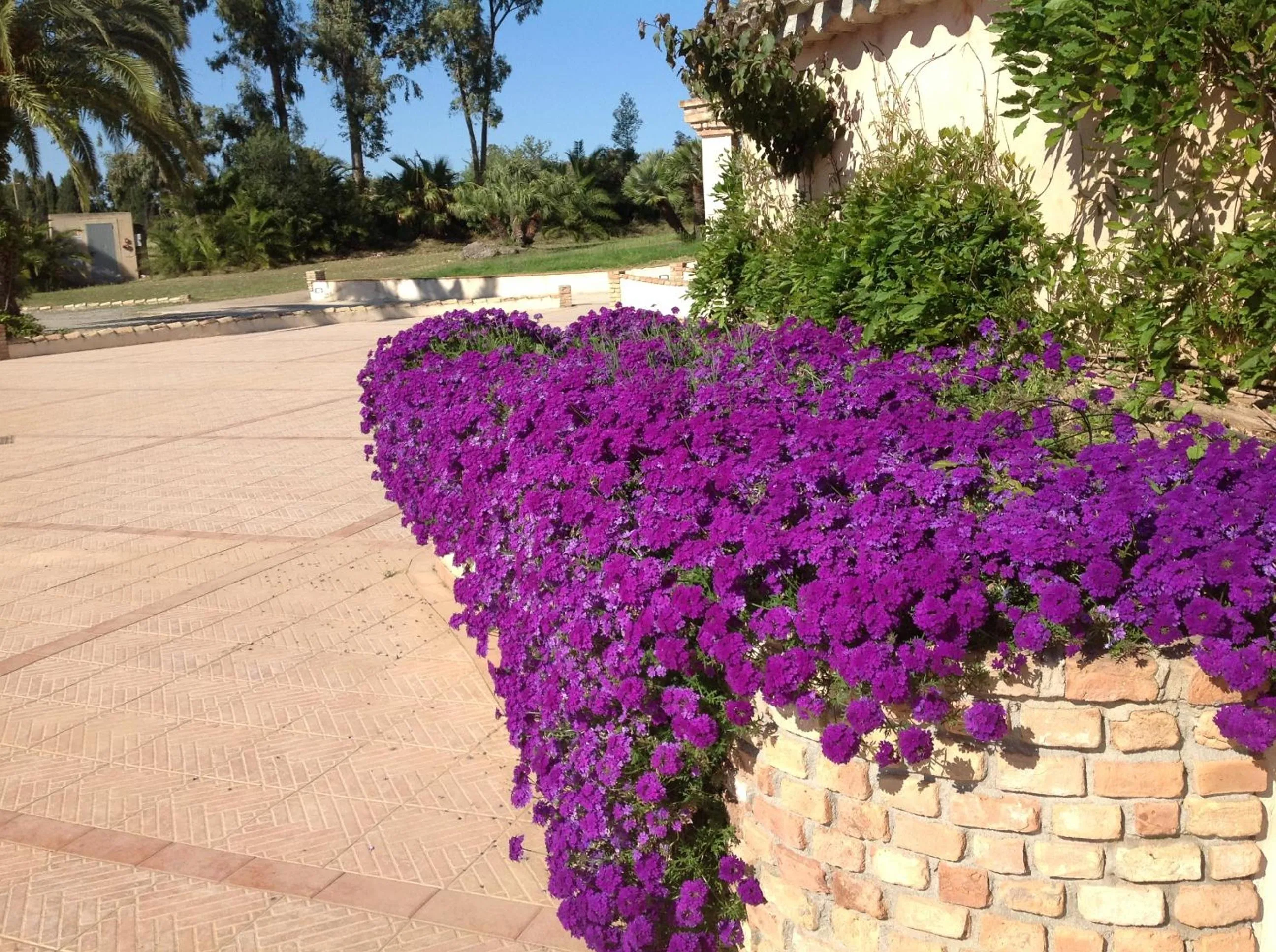 Day in Baia Delle Palme Beach