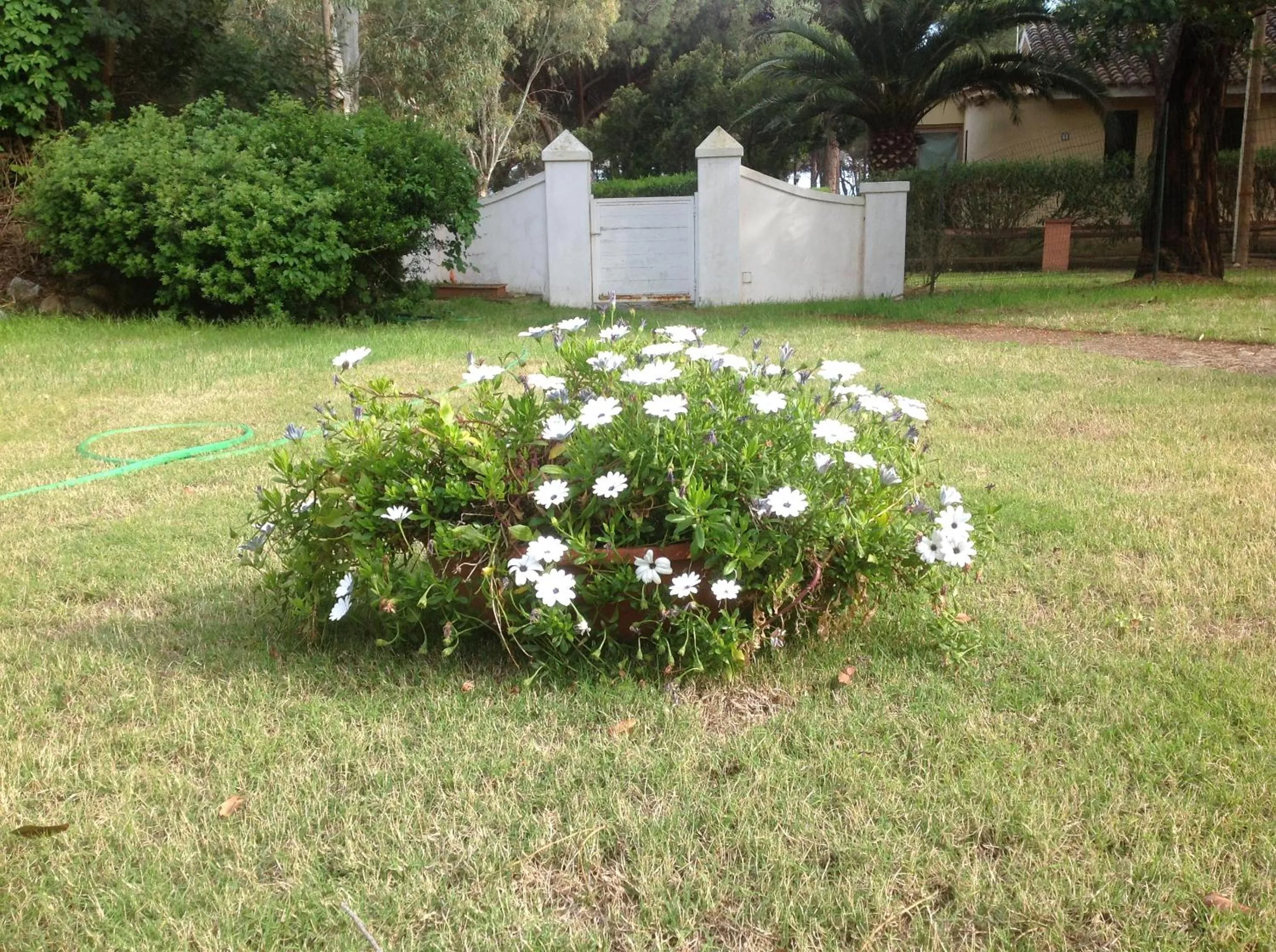 Baia Delle Palme Beach