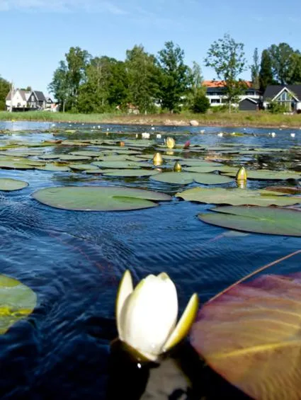 Day in Ekebacken Hotell & Konferens