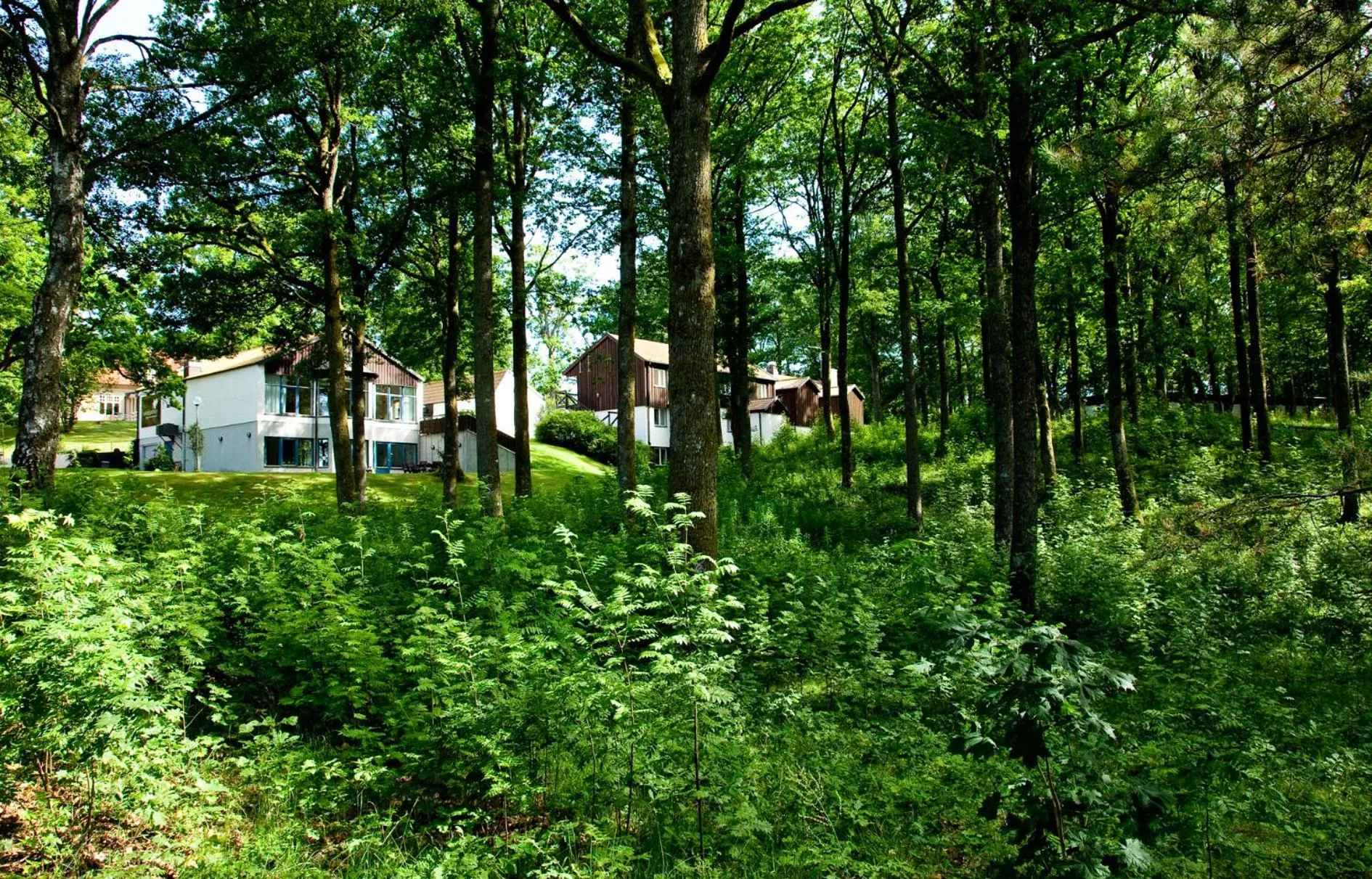 Day in Ekebacken Hotell & Konferens