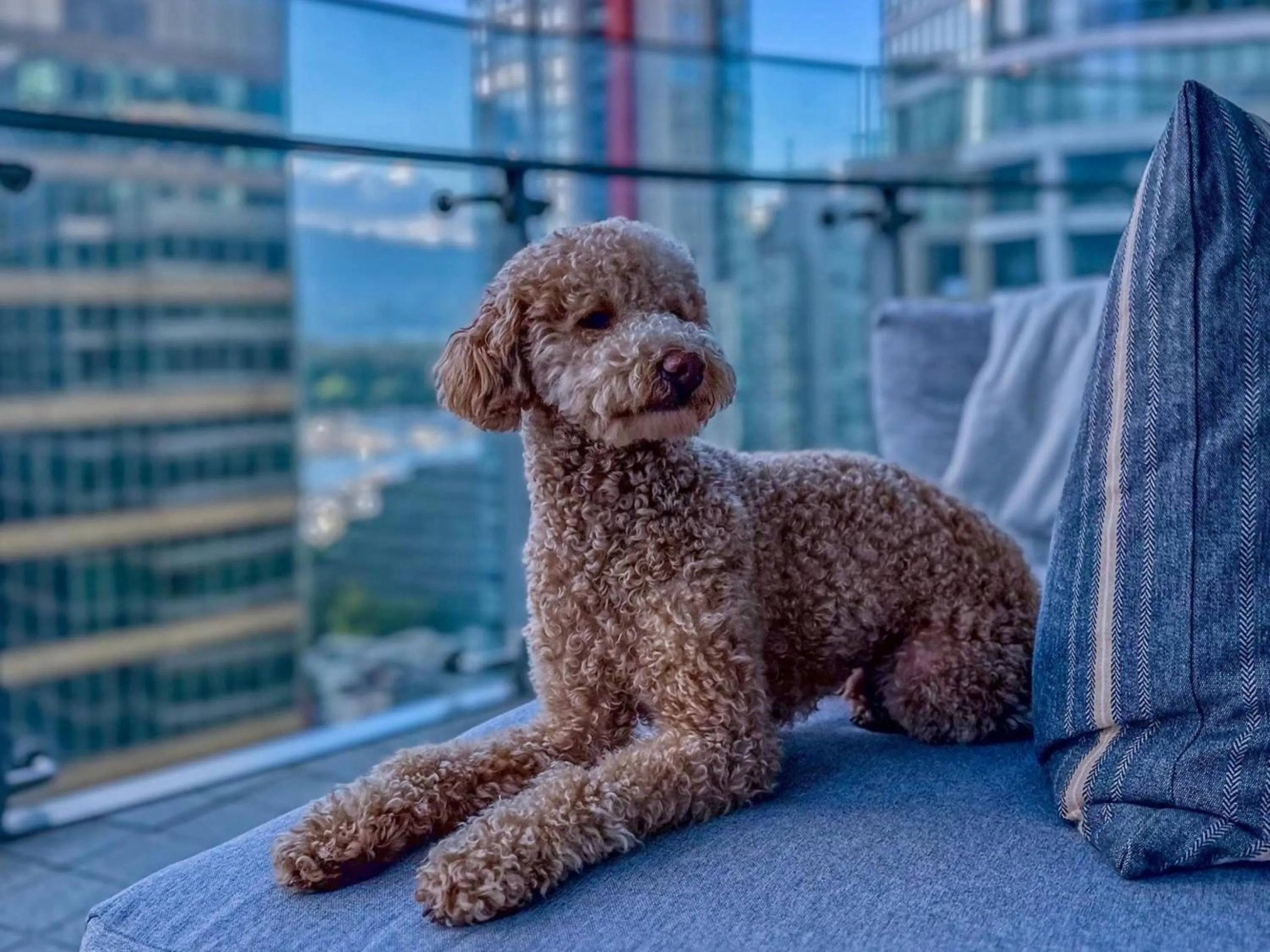 Patio in Paradox Vancouver